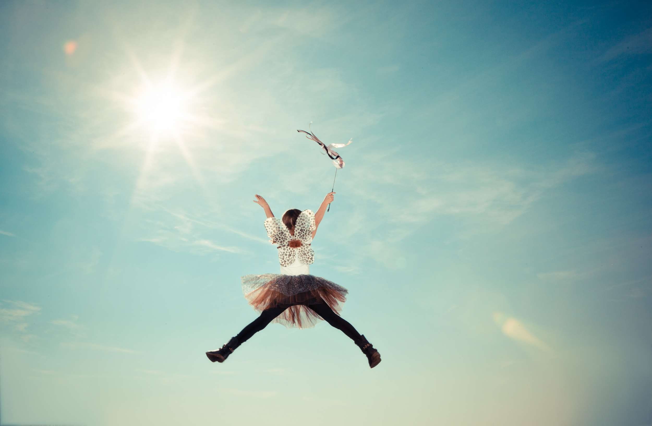 flying, animal, day, low angle view, wind, outdoors, arms raised, sunlight, 1080P, fly, heaven, no people, sky, light, costume, motion, vertebrate, nature, HD Wallpaper