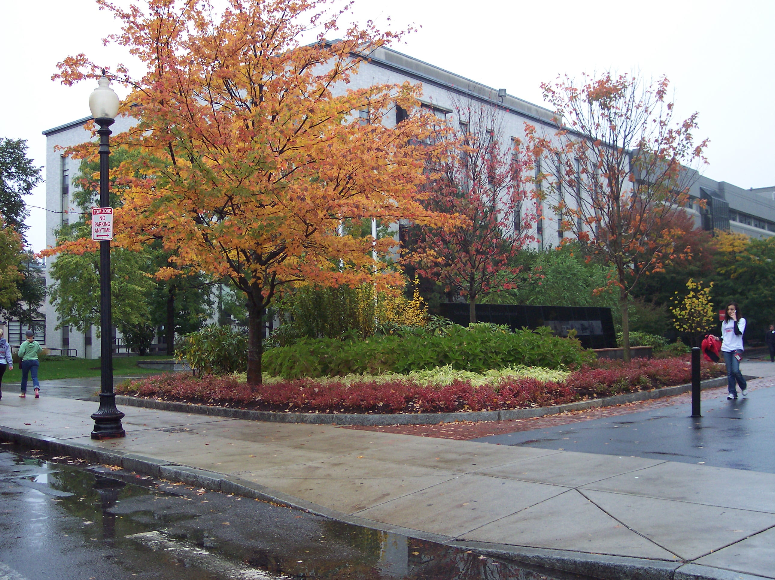 growth, beauty in nature, street light, nature, plant, fall, orange color, rain, real people, change, water, northeastern, built structure, wet, park, architecture, HD Wallpaper