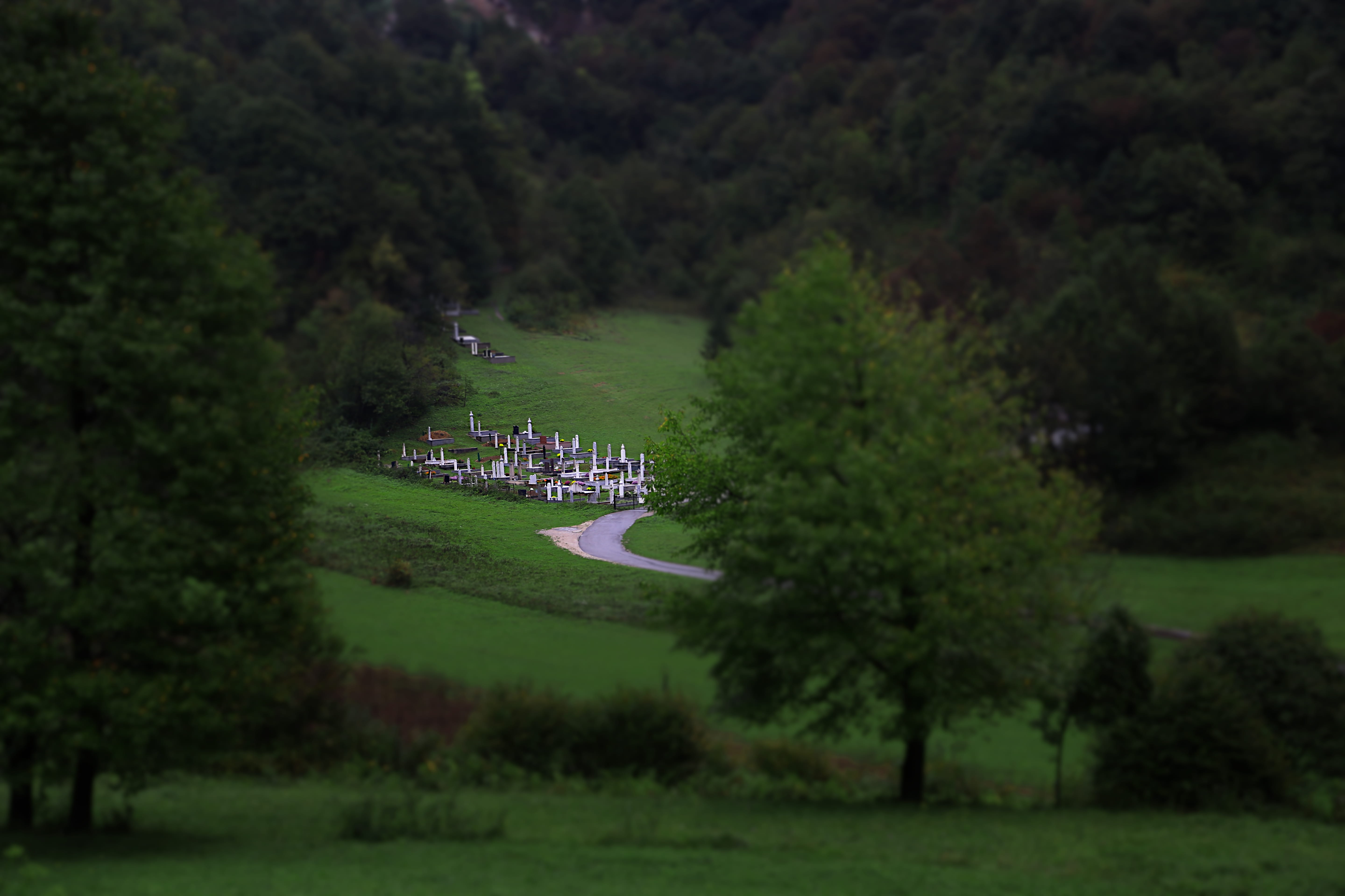 beauty in nature, bosnia and herzegovina, 5K, growth, crowd, graveyard, land, day, grass, bihac, real people, green color, outdoors, high angle view, men, HD Wallpaper