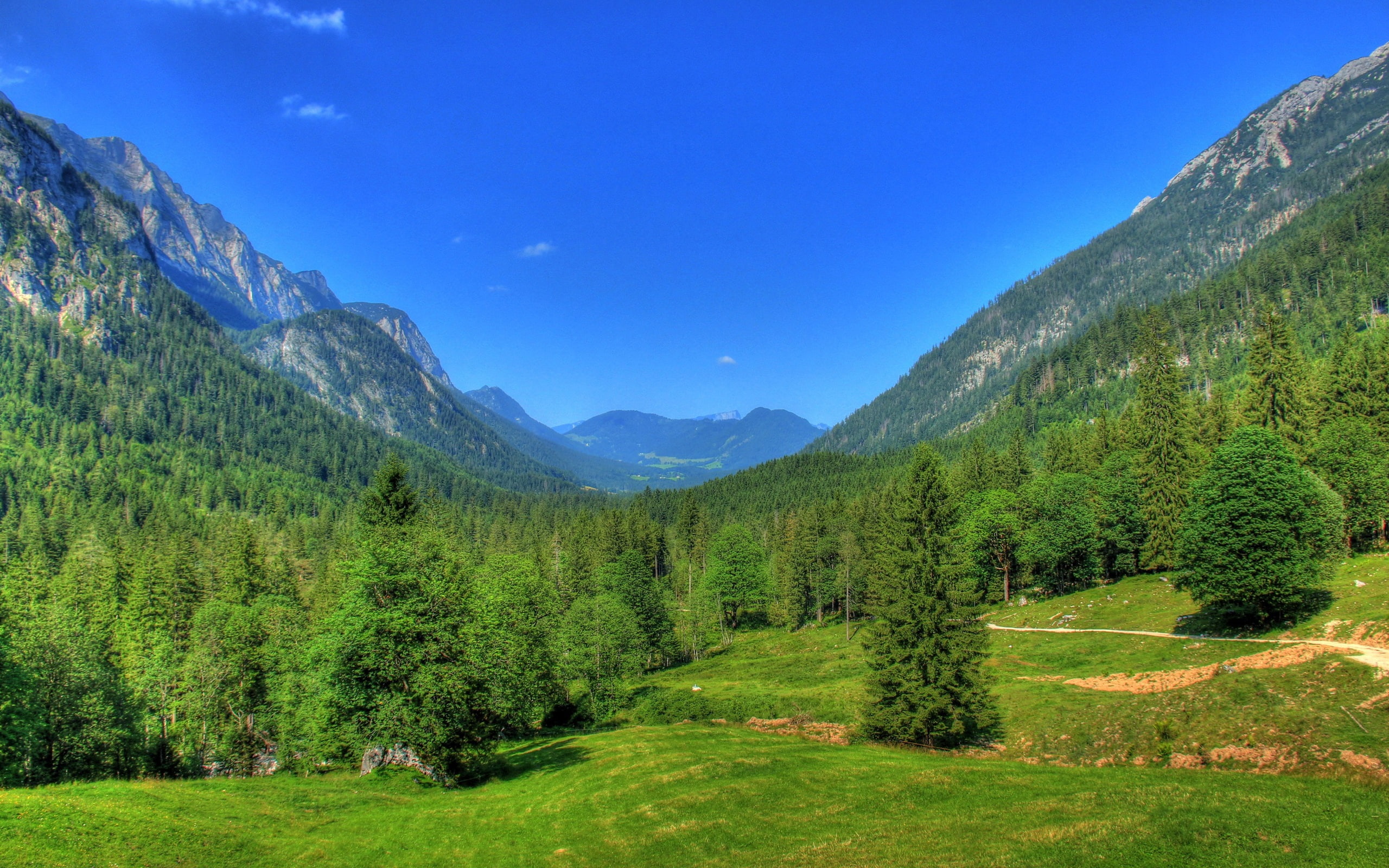 Germany, Blue, Landscape, Sky, Forest, Trees, Bavaria, Nature, Mountains, 2K, HD Wallpaper