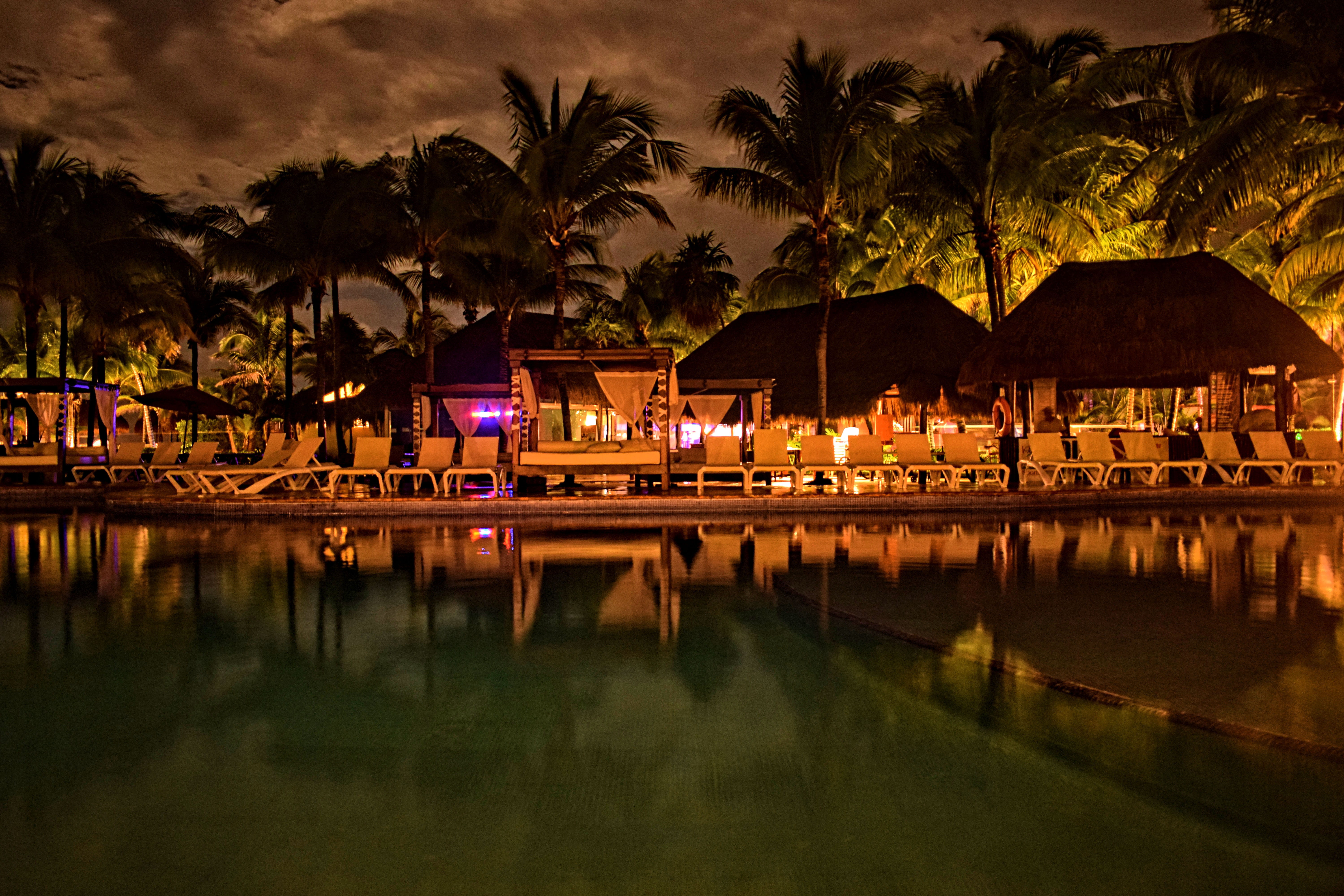 tulum, swimming pool, palm tree, night, tranquility, mexico, built structure, architecture, no people, plant, palm, coconut palm tree, beauty in nature, HD Wallpaper