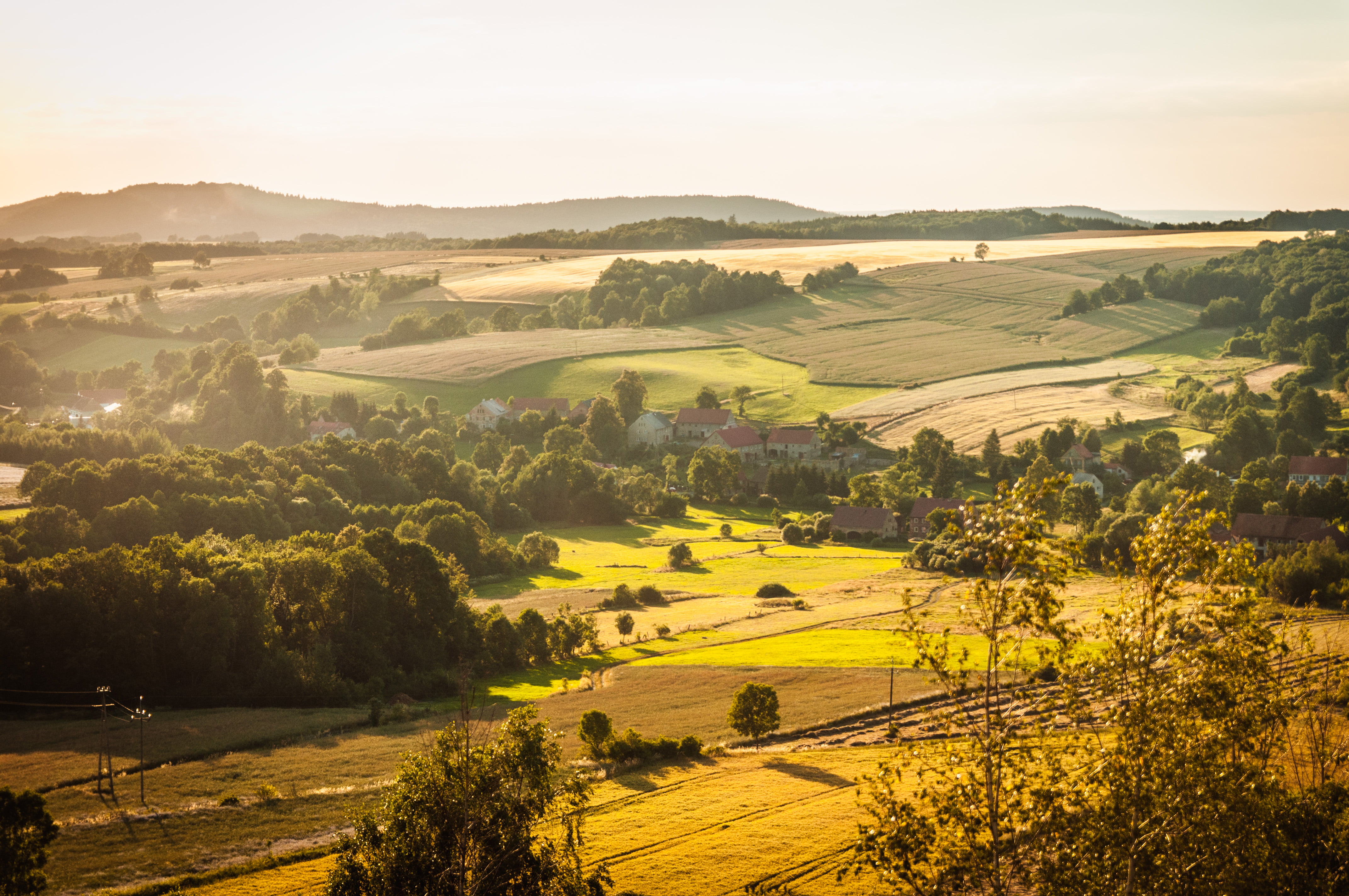 agriculture, field, lower silesia, 4K, jelenia góra, europe, tree, devils rock, summer, landscaped, time, village, tuscany, nature, time  landscape, golden hour, HD Wallpaper