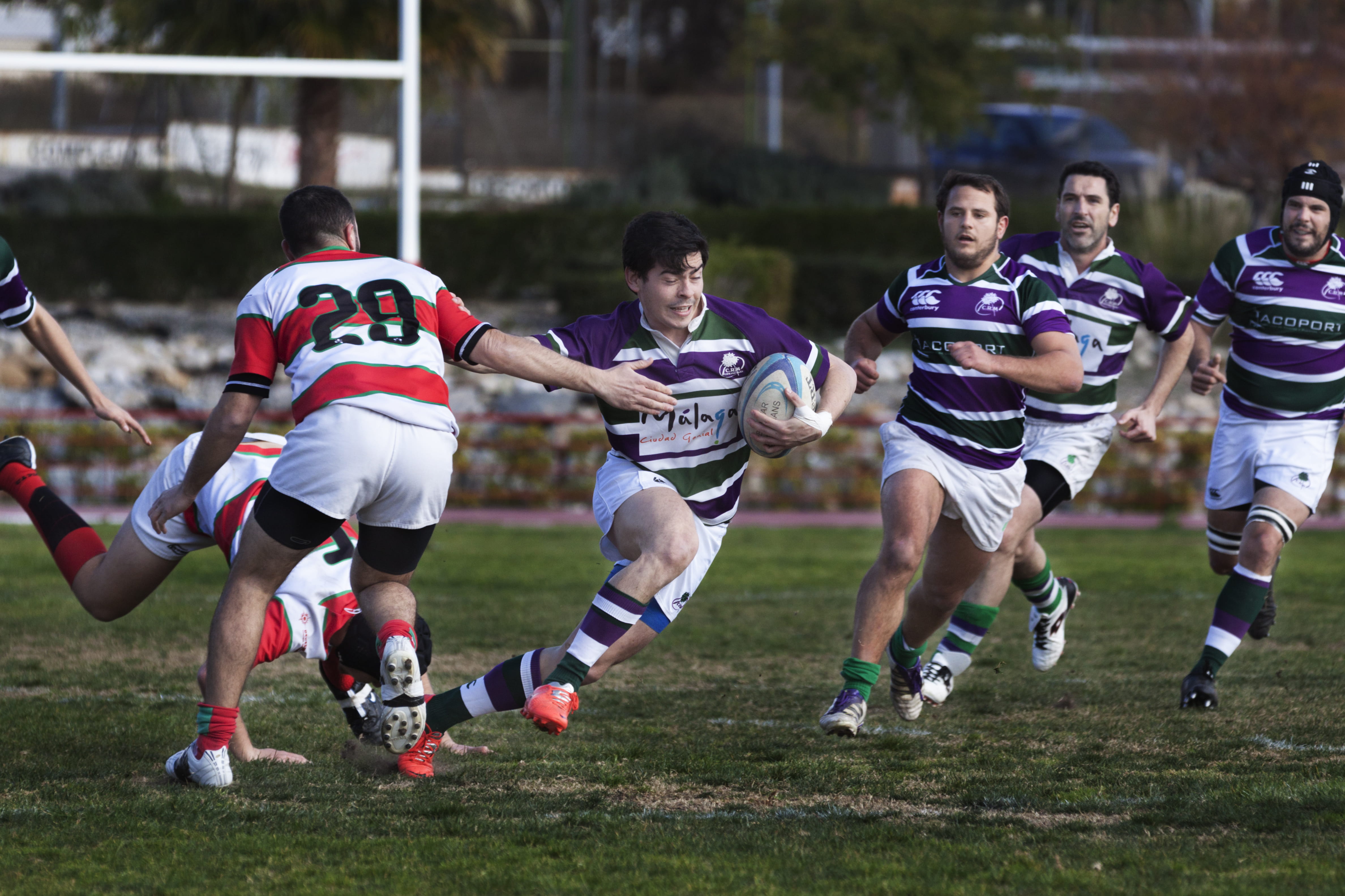 group of people, universidad de málaga, sport, spain, club de rugby málaga, deporte, playing, athlete, running, 4K, sports uniform, plant, rugby málaga, HD Wallpaper