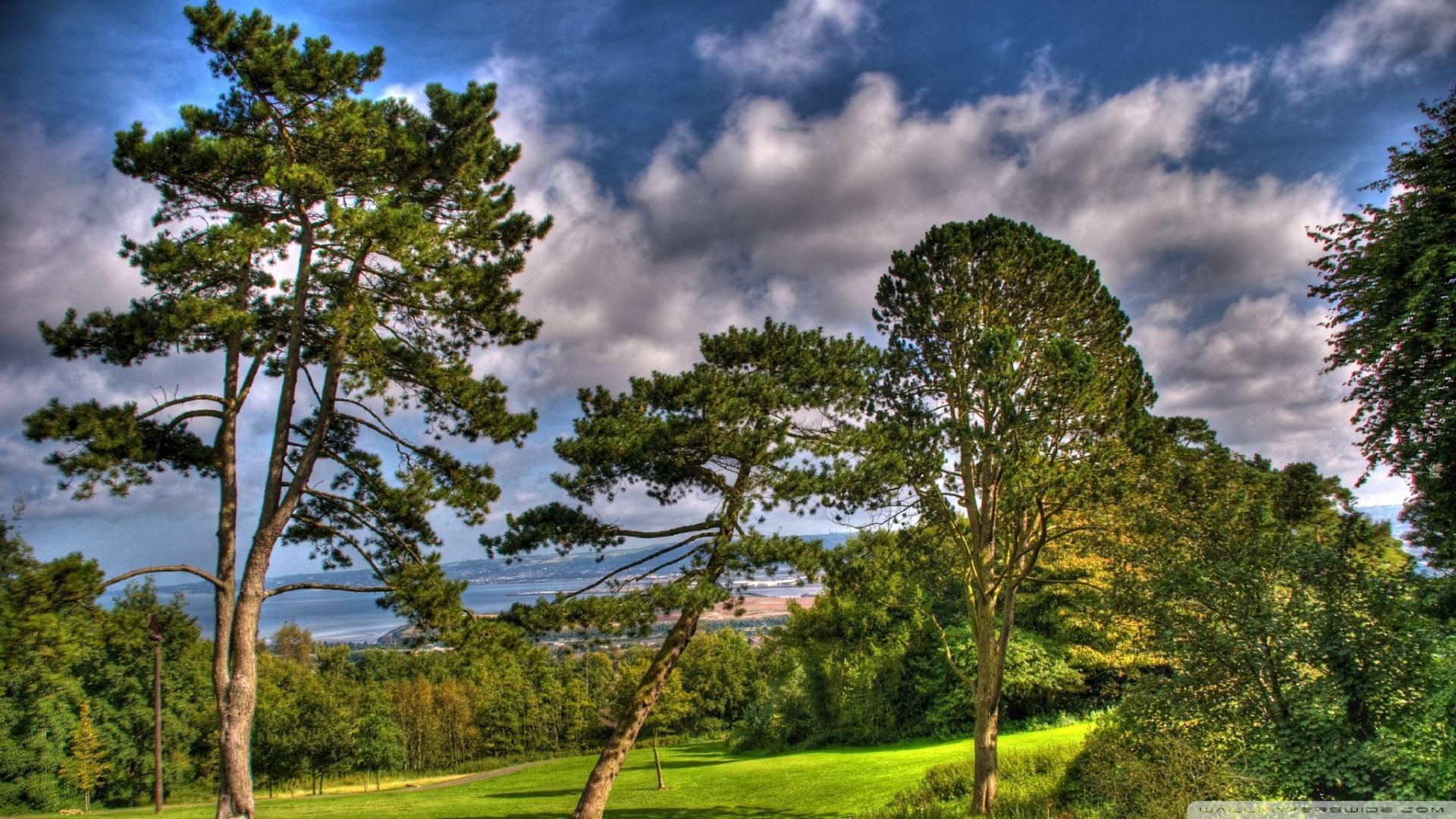 nature and landscapes, view, 1080P, hill, hdr, side, great, trees, grass, tre, green, HD Wallpaper