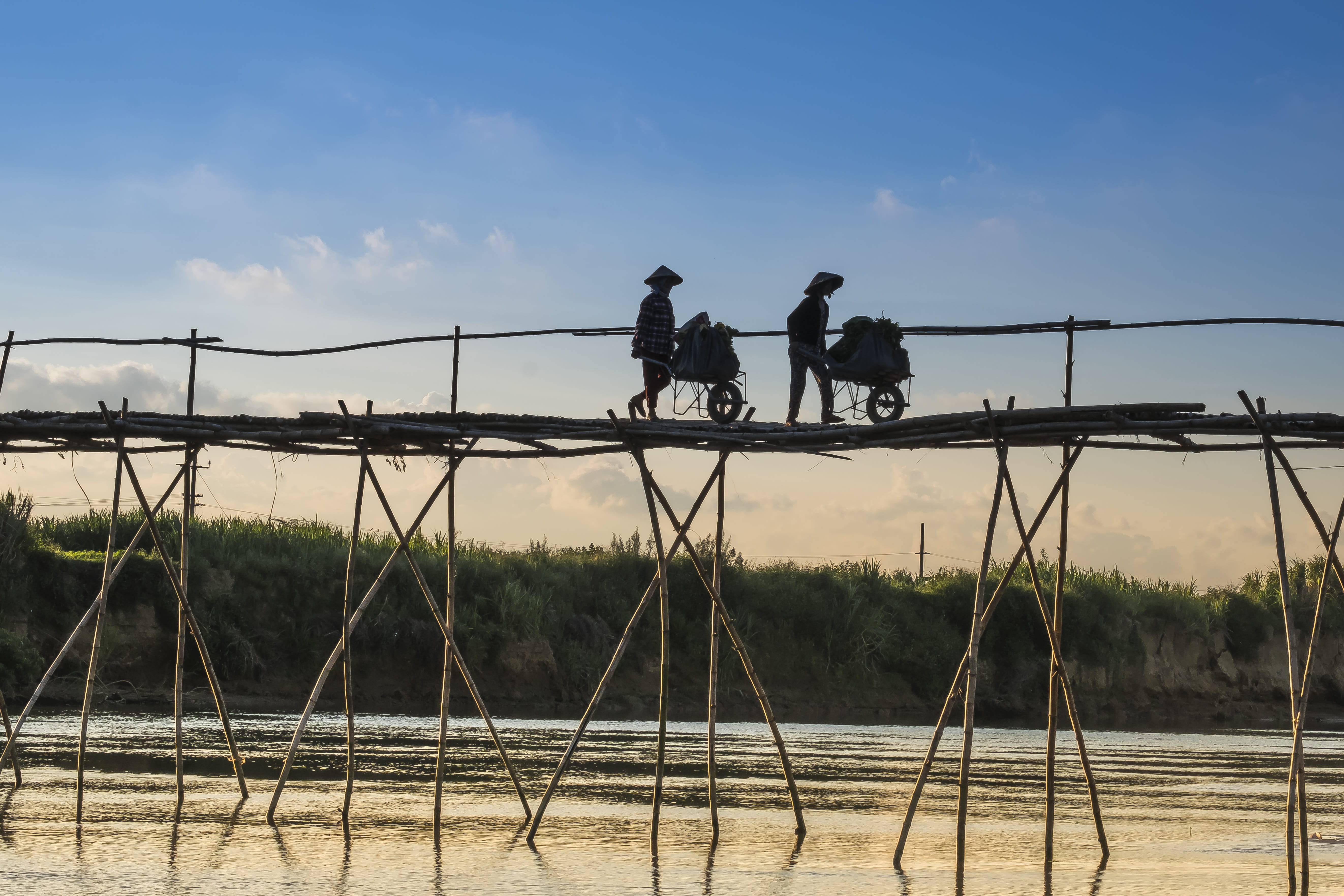 asia, bicycle, province, forest, daytime, bridge, occupation, material, the countryside, the park, the landscape, vietnam, railing, day, south east asia, HD Wallpaper