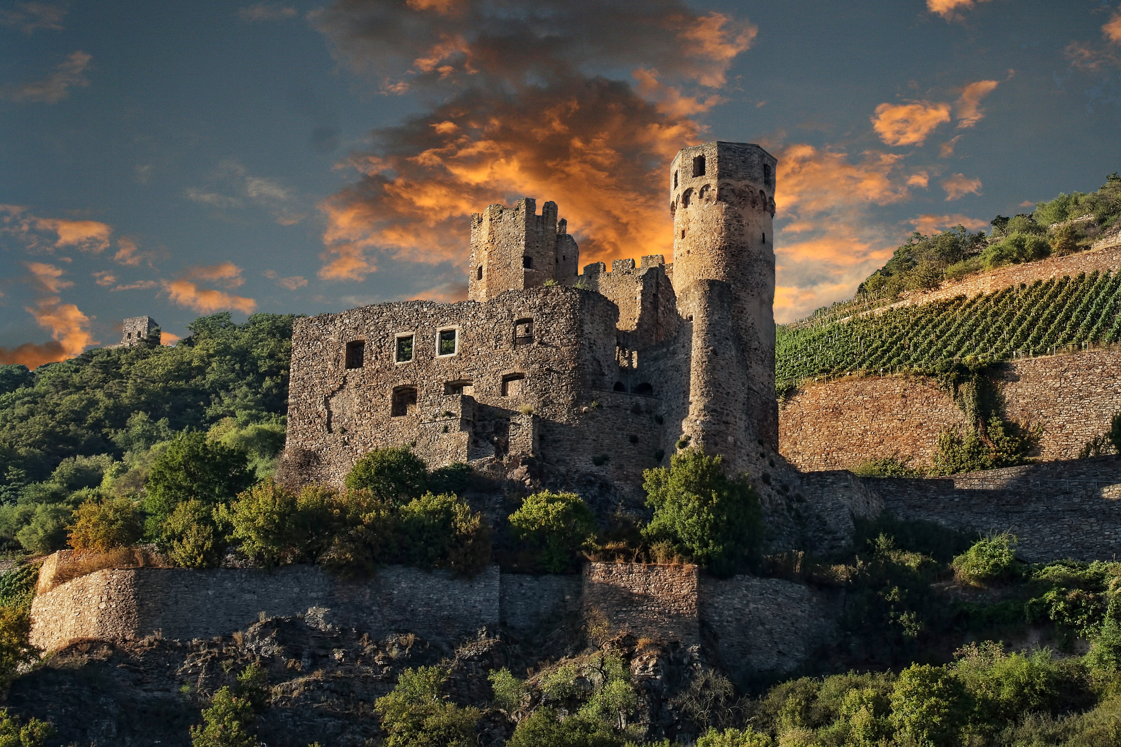 fort, near, 2K, the past, history, medieval, old ruin, tree, rhine, building, leaf, deterioration, no people, old, plant, nature, architecture, ehrenfels, HD Wallpaper