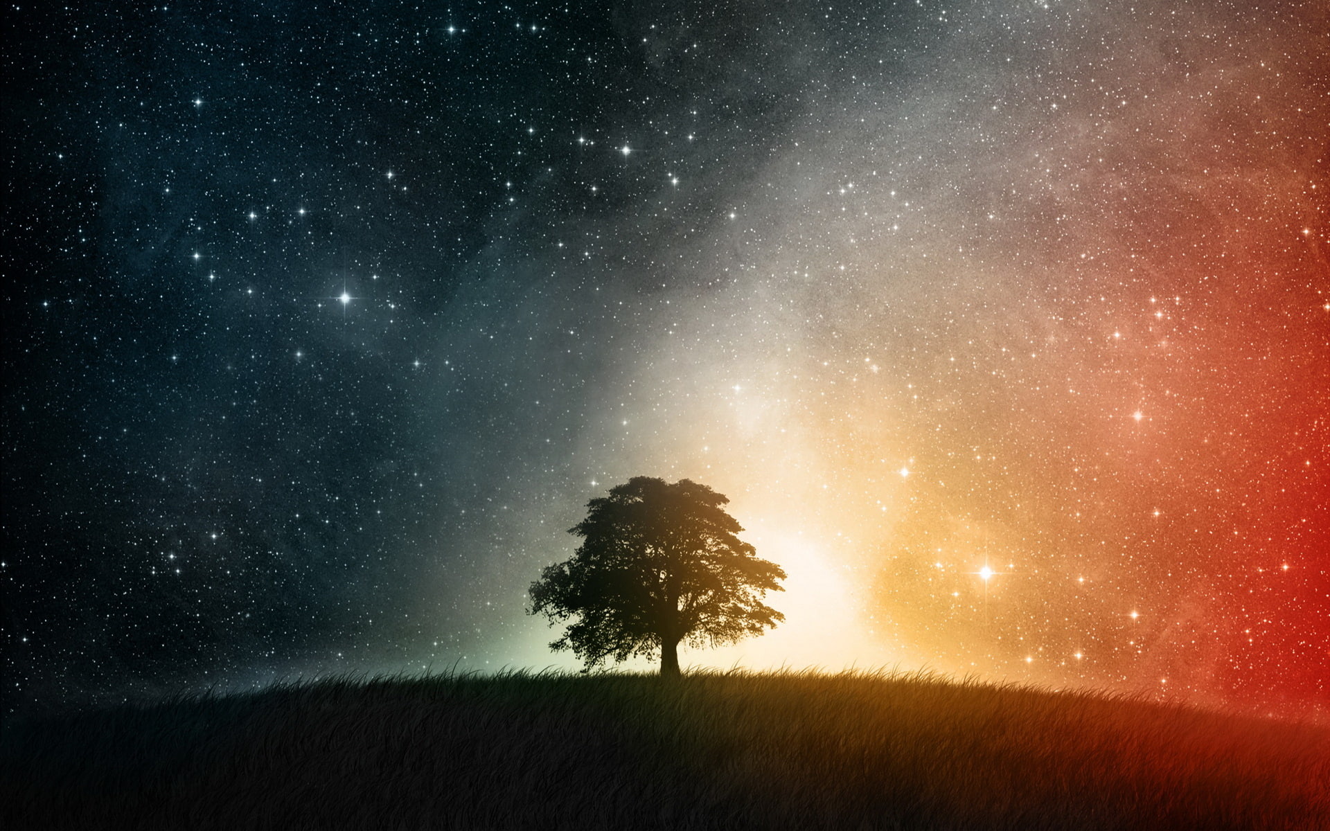 1080P, tre, HD Wallpaper