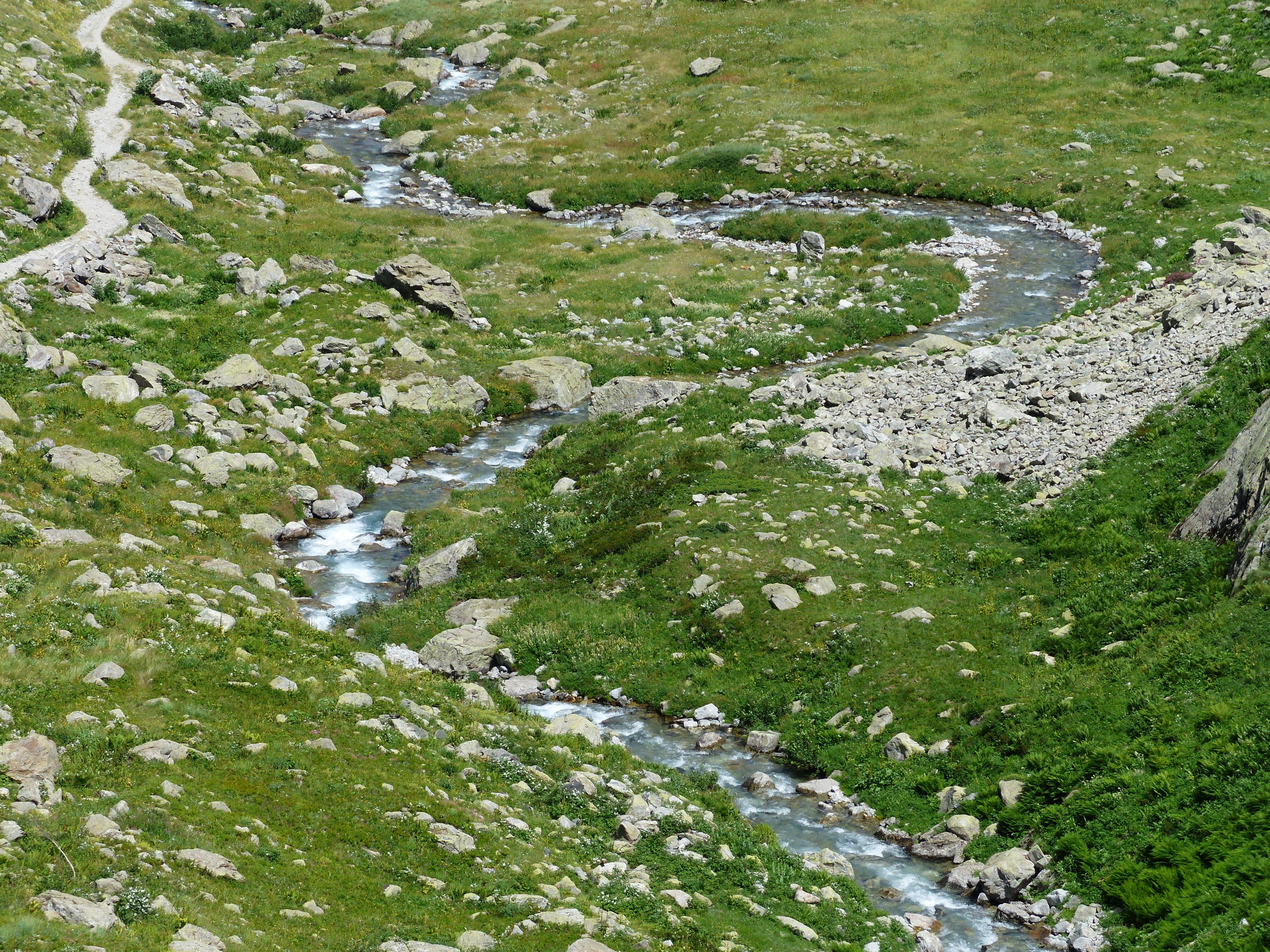 green color, growth, 4K, river, meadow, Idyllic, nature, environment, View, tranquility, clear, vallone della barra, torrent, no people, rock, piedmont, HD Wallpaper