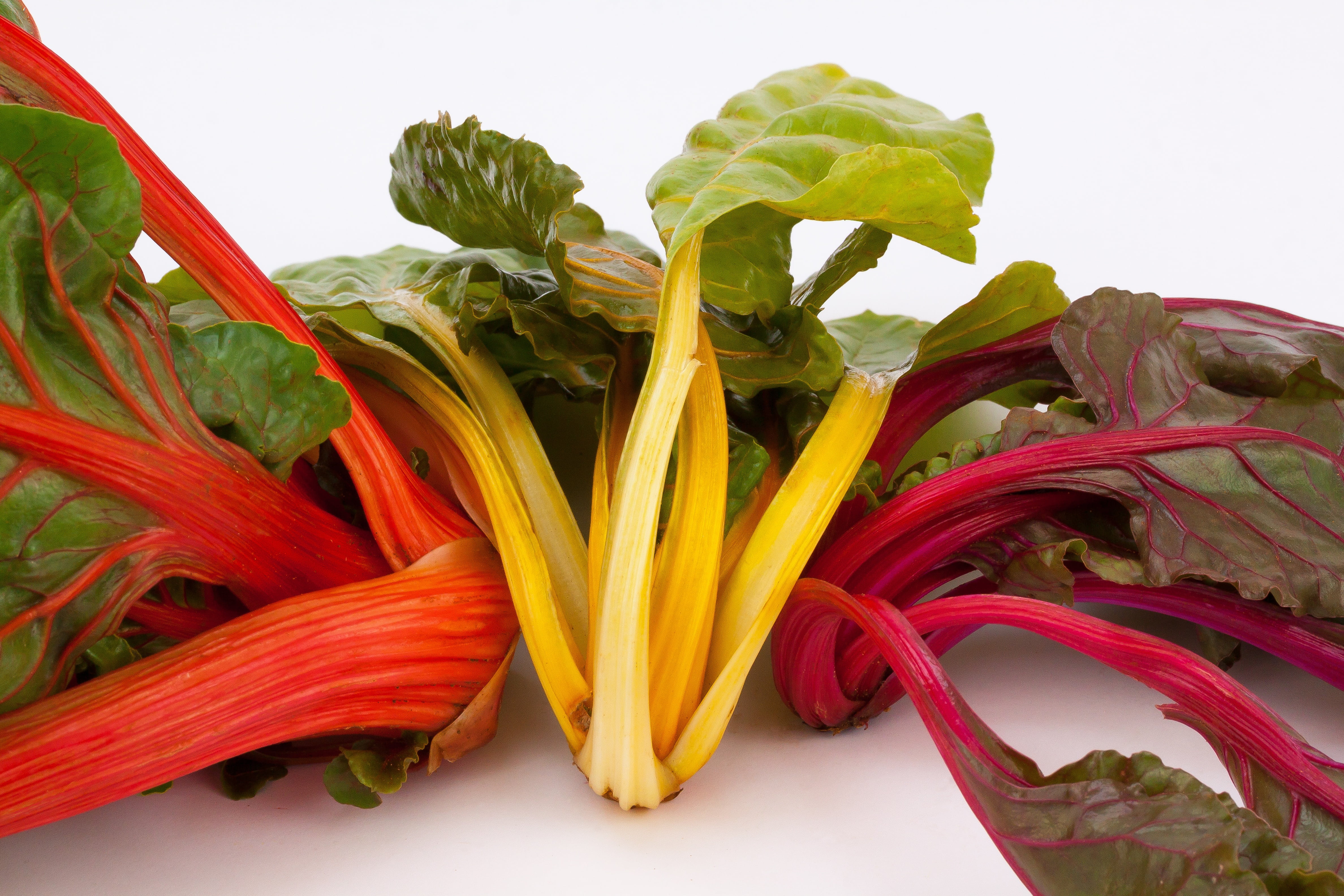 multi colored, vegetable plant, closeup, indoors, plant, stalk, wellbeing, orange, white background, food, organic, nature, vegetable, no people, frisch, HD Wallpaper