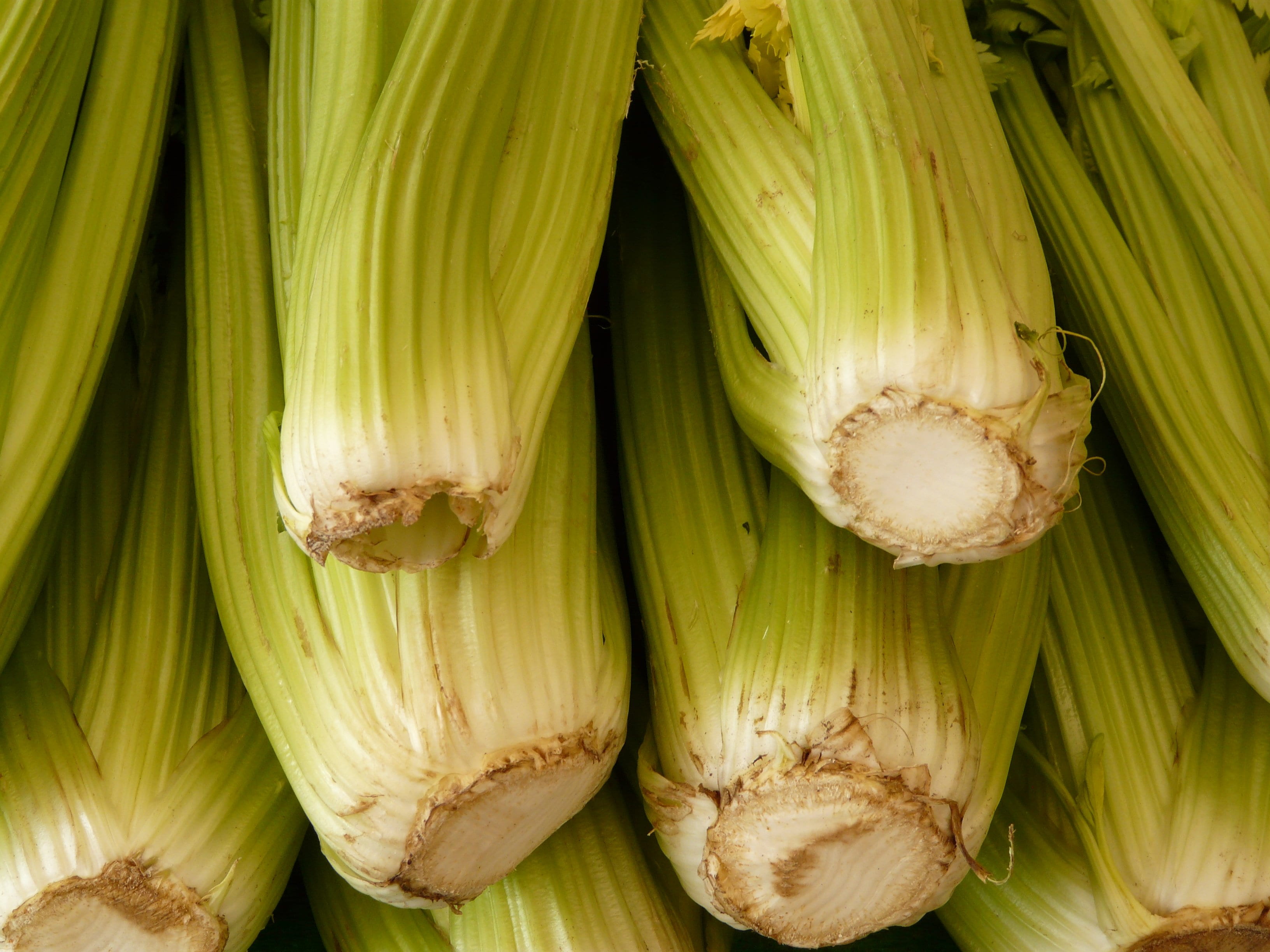 vegetable, wellbeing, no people, bunch, sweetcorn, backgrounds, indoors, still life, freshness, 2K, full frame, close-up, raw food, close, corn, vegetables, HD Wallpaper