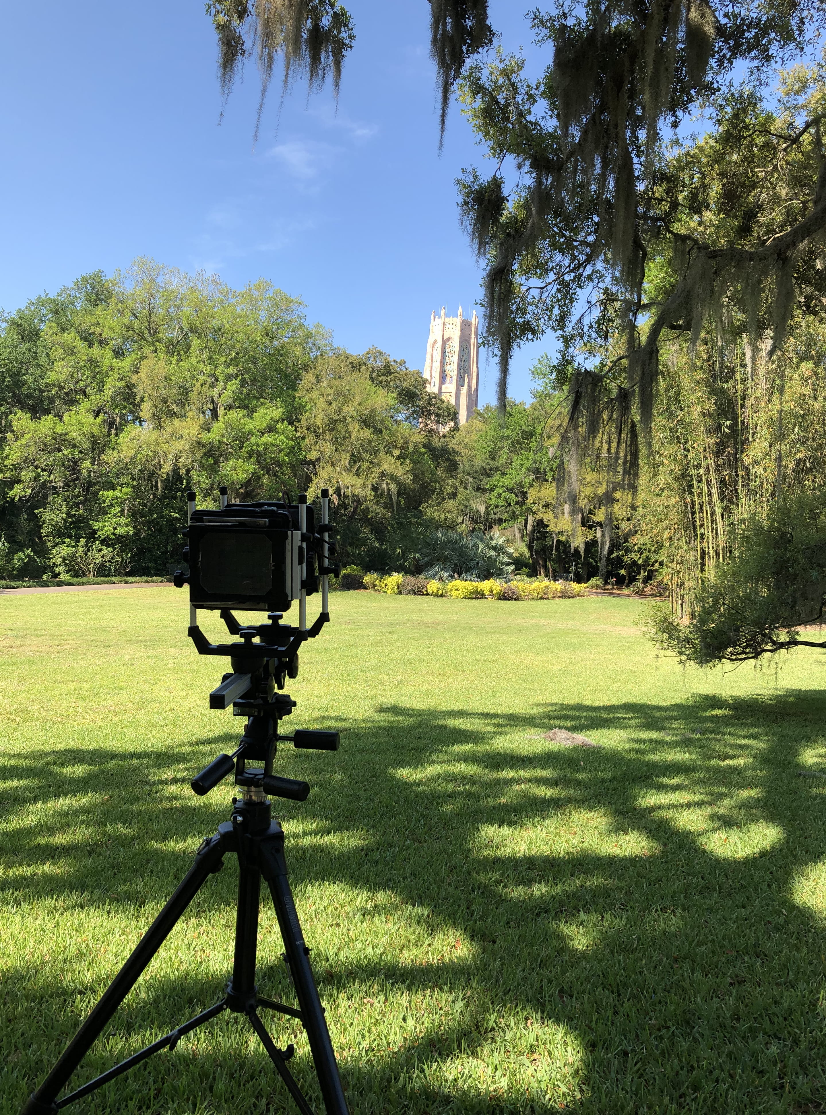 sunlight, oak, green color, outdoors, plant, lake wales, electronics, sky, tranquil scene, building, cottage, florida, tree, camera, landscapes, shadow, Phone HD Wallpaper