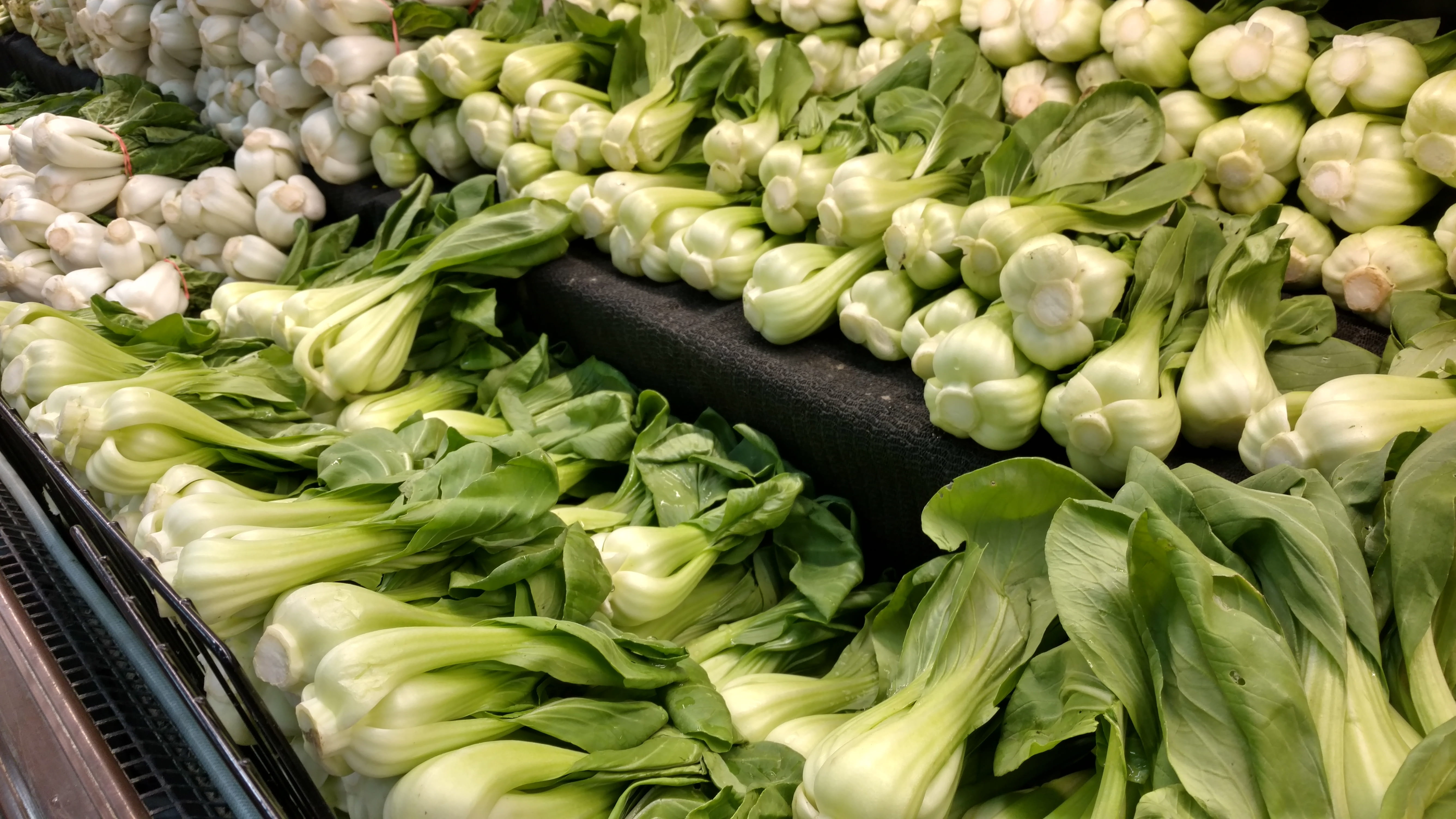 lettuce, choice, sale, freshness, green Color, retail, vegetable, asian, Bok Choy, nutrition, raw Food, abundance, stir fry, Fresh Produce, for sale, high angle view, HD Wallpaper