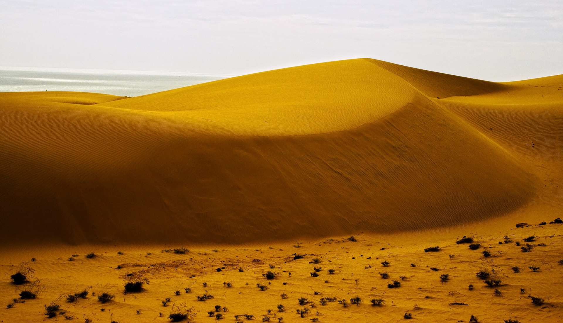 beauty in nature, brown, vietnam, no people, sand dune, non-urban scene, dune, day, environment, climate, tranquil scene, animal themes, desert, tranquility, HD Wallpaper