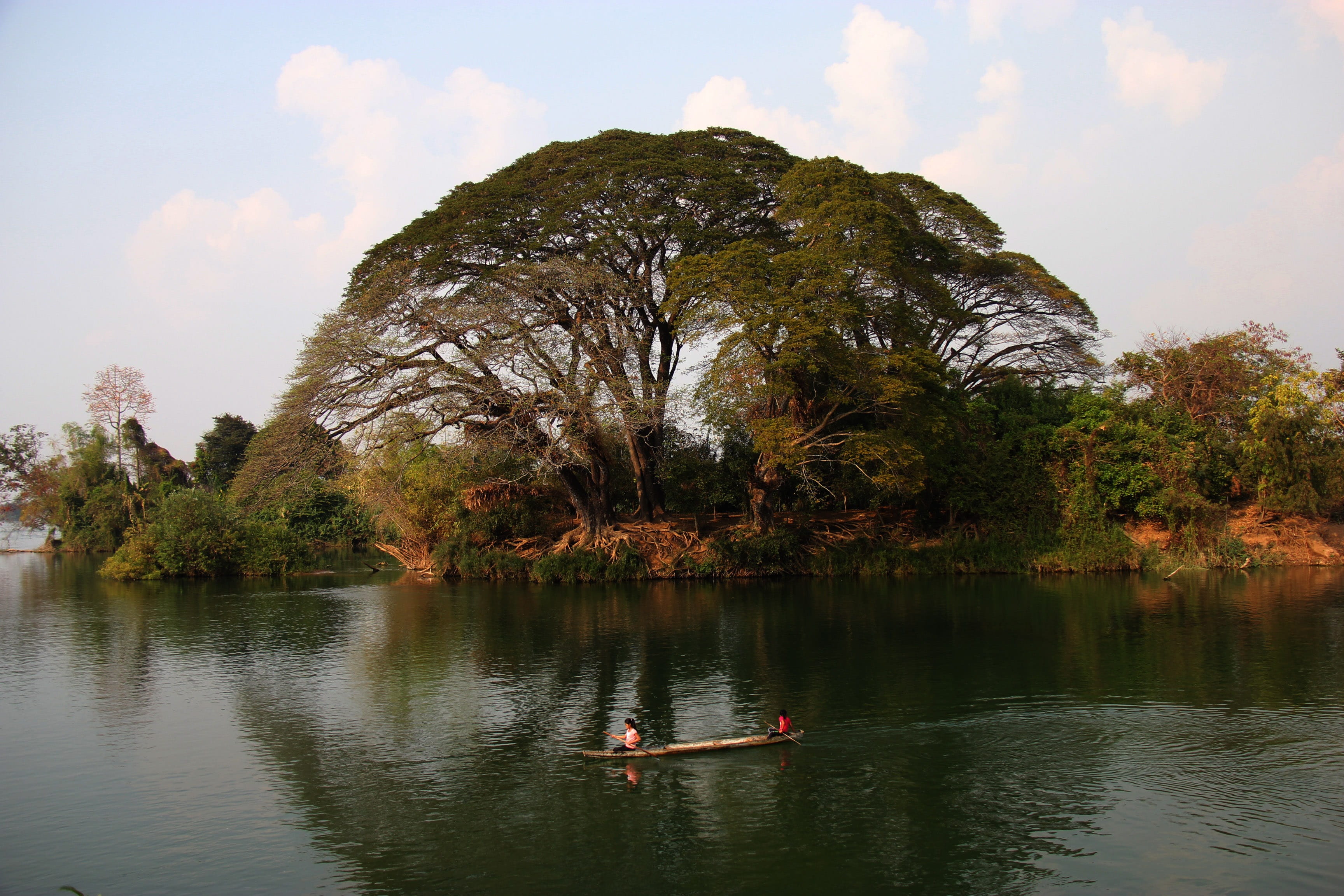 tourist, south, lake, reflection, asia, fisherman, 2K, island, forest, waterfront, two people, trees, don det, discovery, transportation, mekong, idyllic, HD Wallpaper