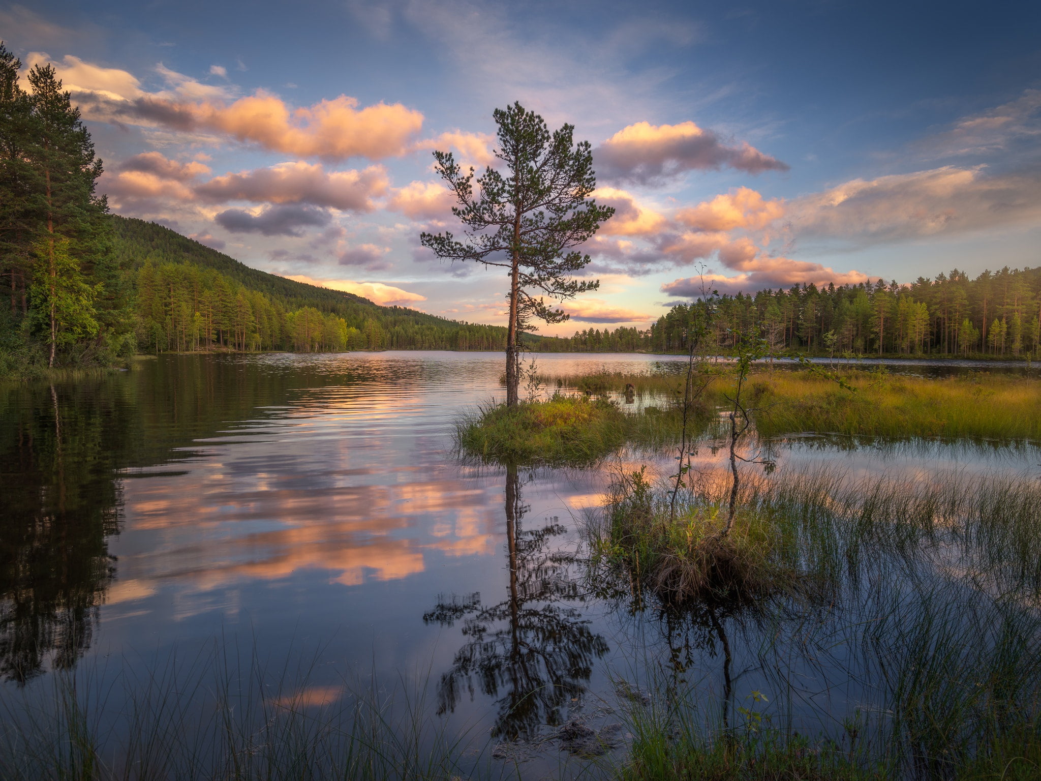 forest, the sky, sunset, lake, reflection, 1080P, Norway, Ole Henrik Skjelstad, nature, HD Wallpaper