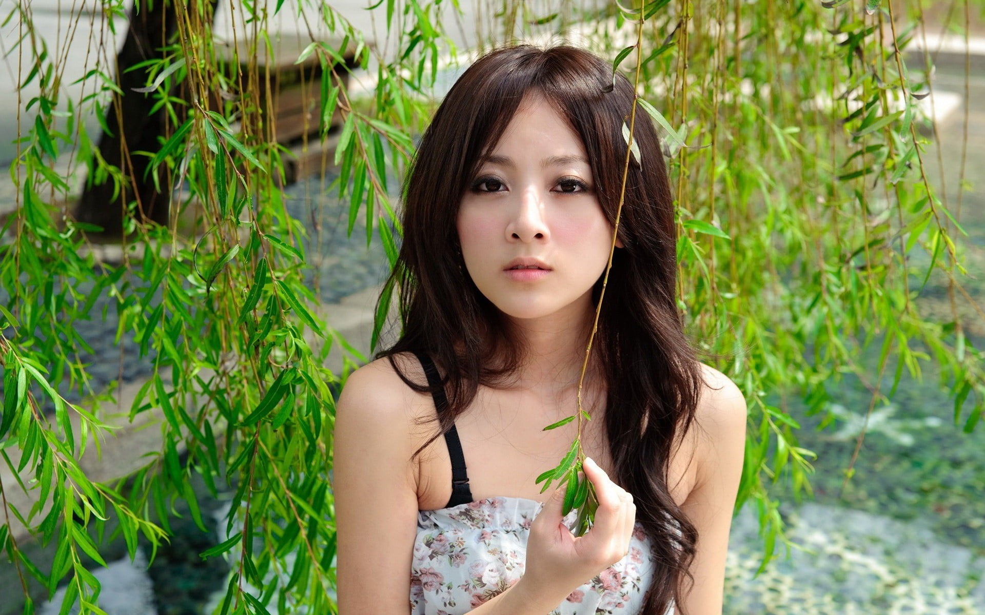 Japan, young adult, beautiful people, women outdoors, front view, nature, beauty, beautiful woman, portrait, contemplation, adult, willows, hairstyle, brunette, HD Wallpaper
