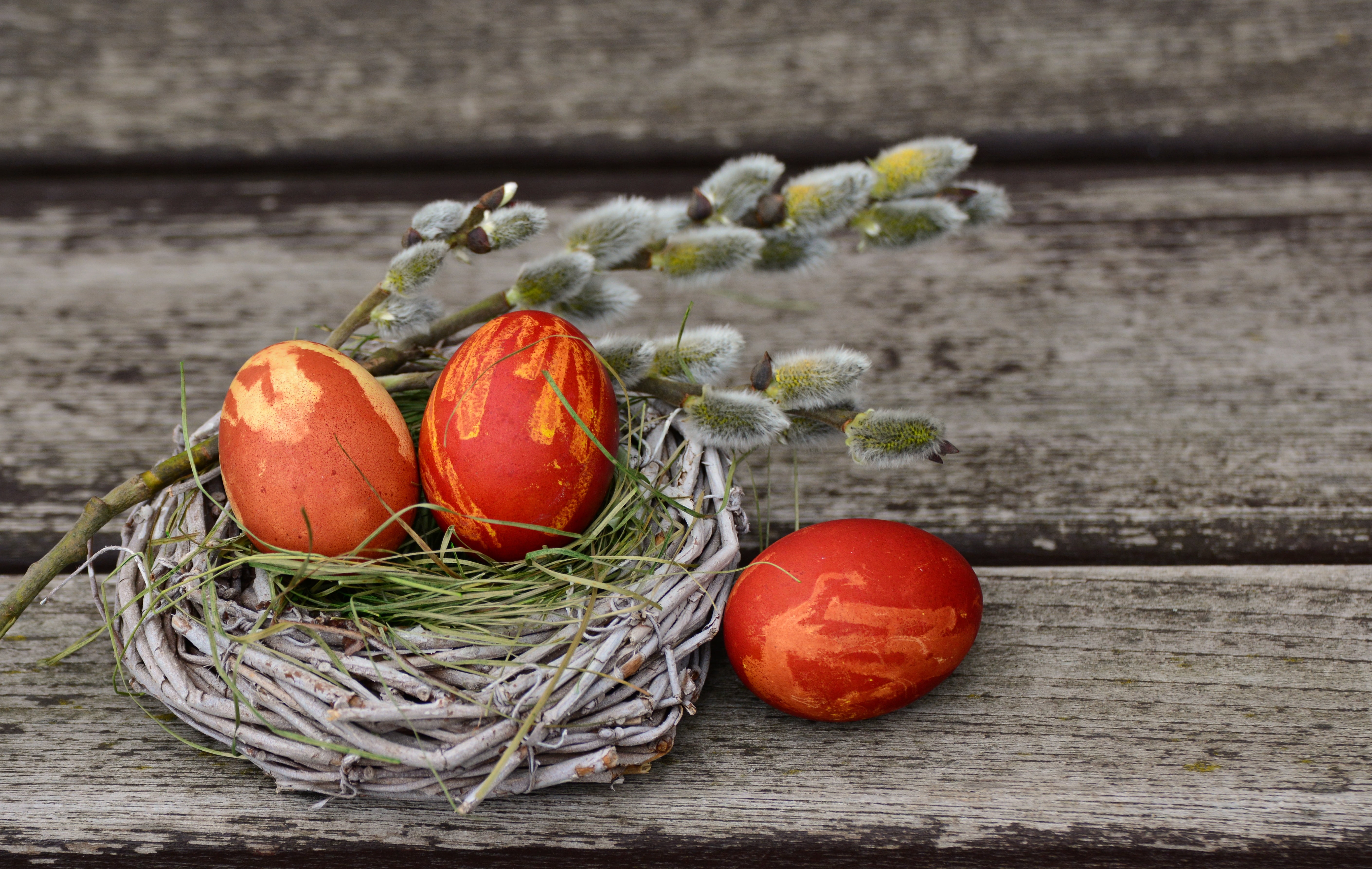 vegetarian food, plant, nature, springtime, animal Egg, easter Egg, focus on foreground, animal Nest, symbol, ripe, celebration, close-up, tomato, day, HD Wallpaper