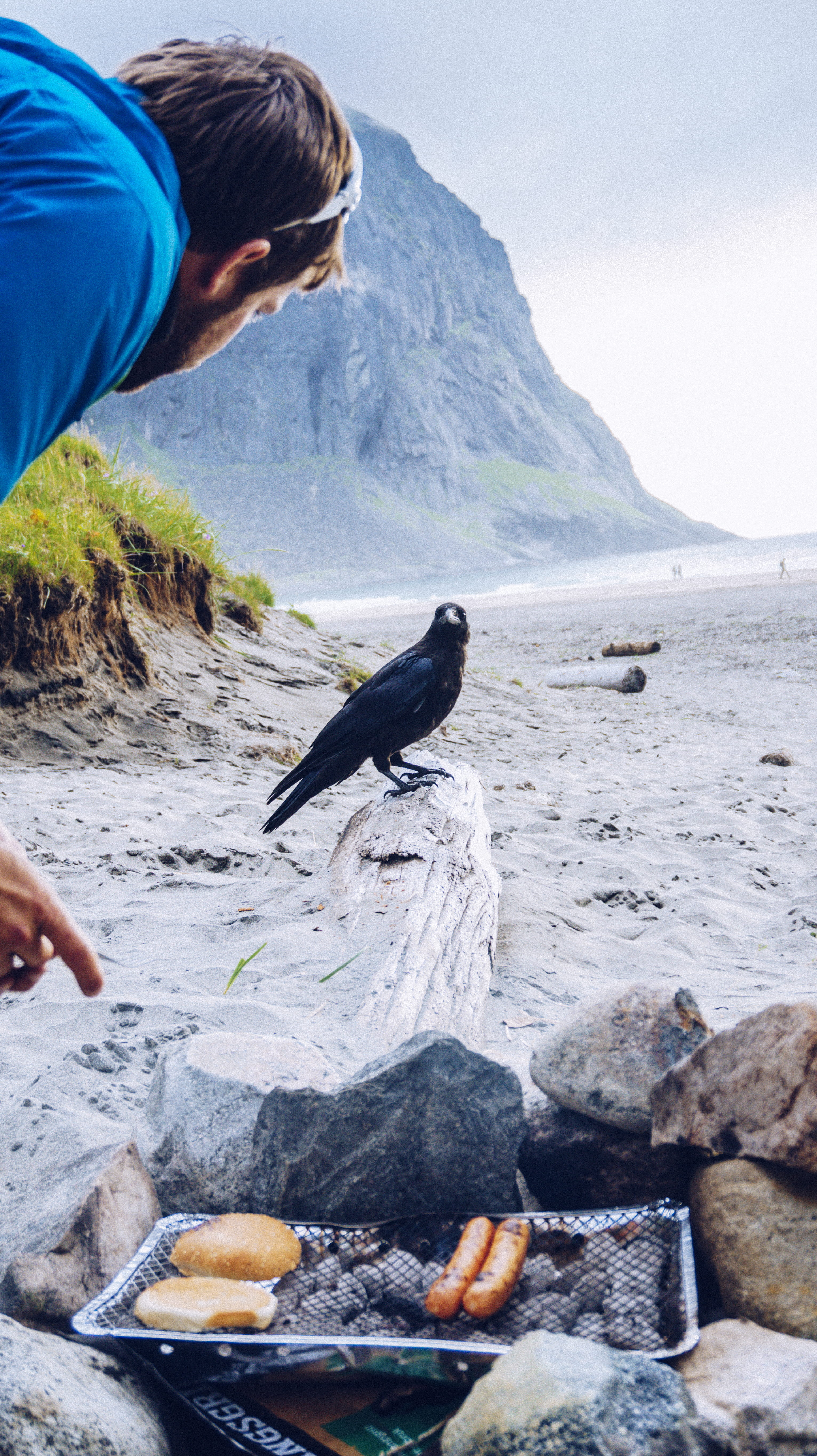 solid, animals in the wild, rock, outdoors, nature, sea, animal wildlife, land, one person, wildlife, day, food, beach, rock - object, outside, moskenes, Phone HD Wallpaper