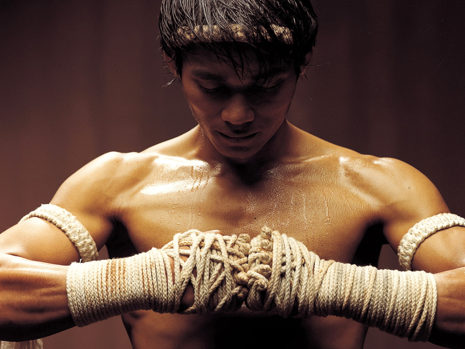 720P, jaa, ong bak, martial, bak, tony, ong, arts, HD Wallpaper