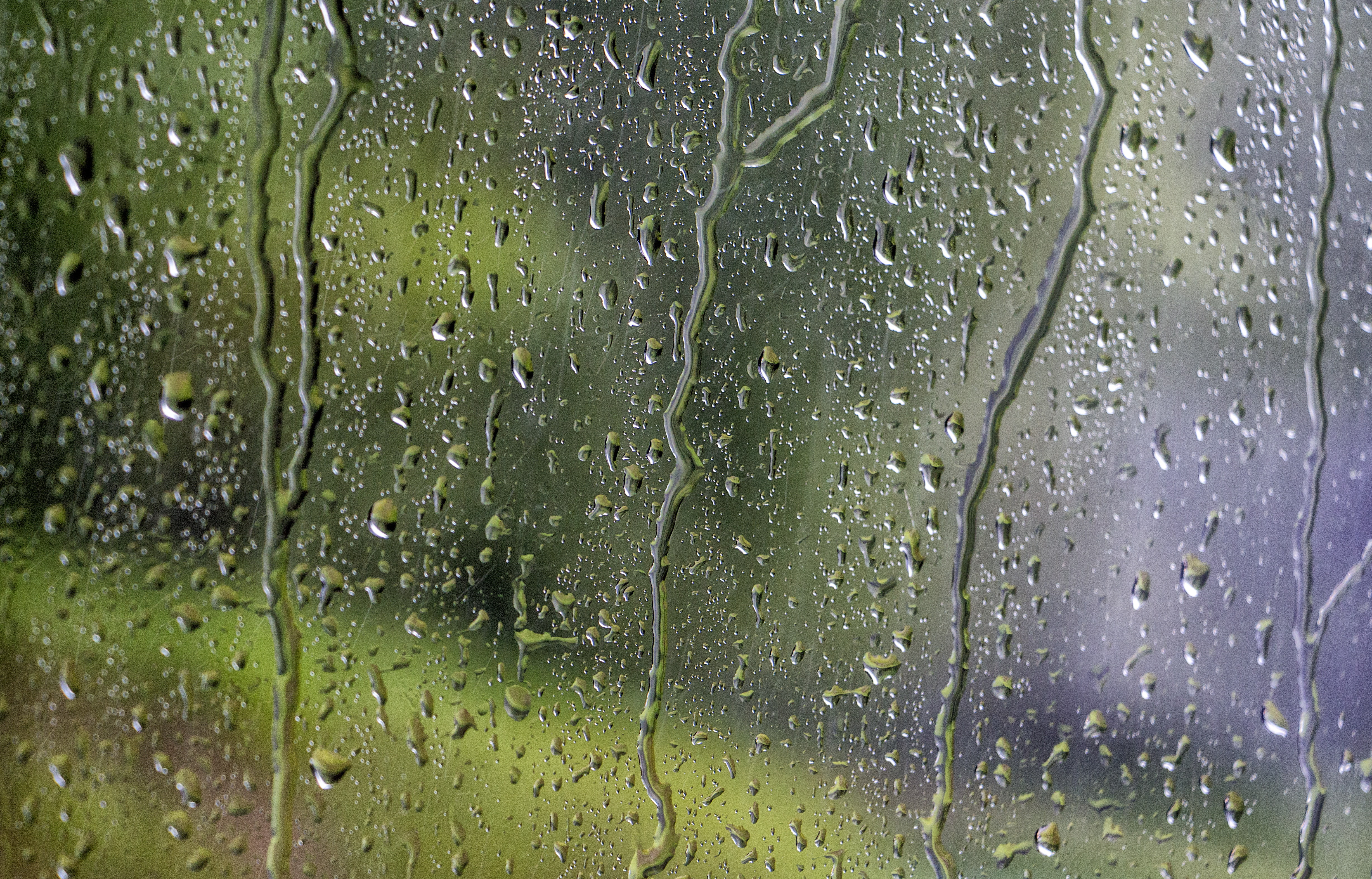 freshness, water, rainy season, drops, dew, rain, no people, background, glass, nature, purity, 4K, surface, transparent, window, drop, backgrounds, close-up, HD Wallpaper