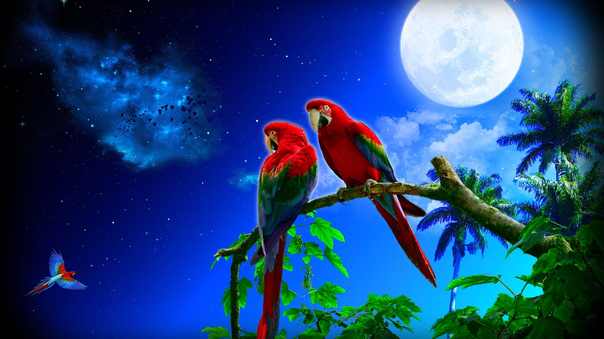 1080P, pair, desktop, art, wonderful, scarlet, photography, backgrounds, papagalli, macaw, HD Wallpaper