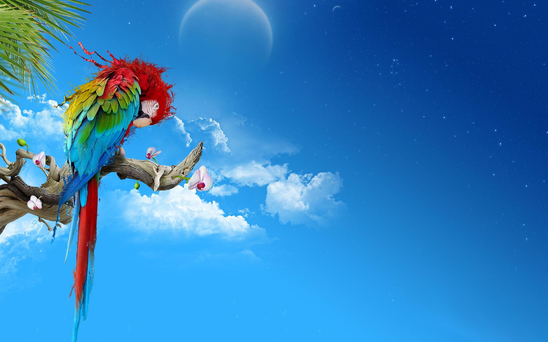 blue, cloud - sky, art and craft, Birds, tree, low angle view, decoration, holiday, outdoors, event, blue background, Animals, scarlet, macaw, moon, balloon, HD Wallpaper