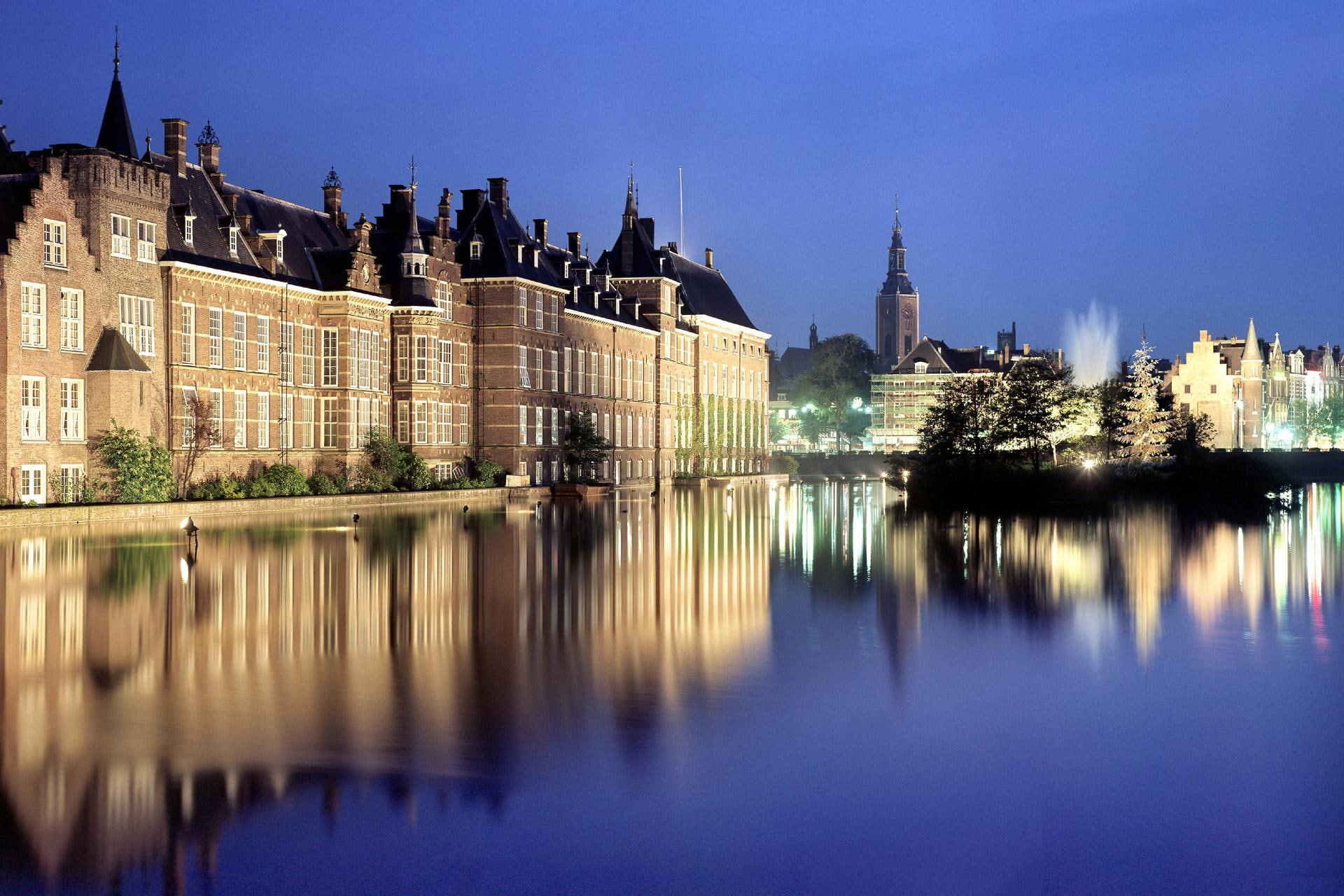 lake, 1080P, the hague, hague, lights, animals, netherlands, HD Wallpaper