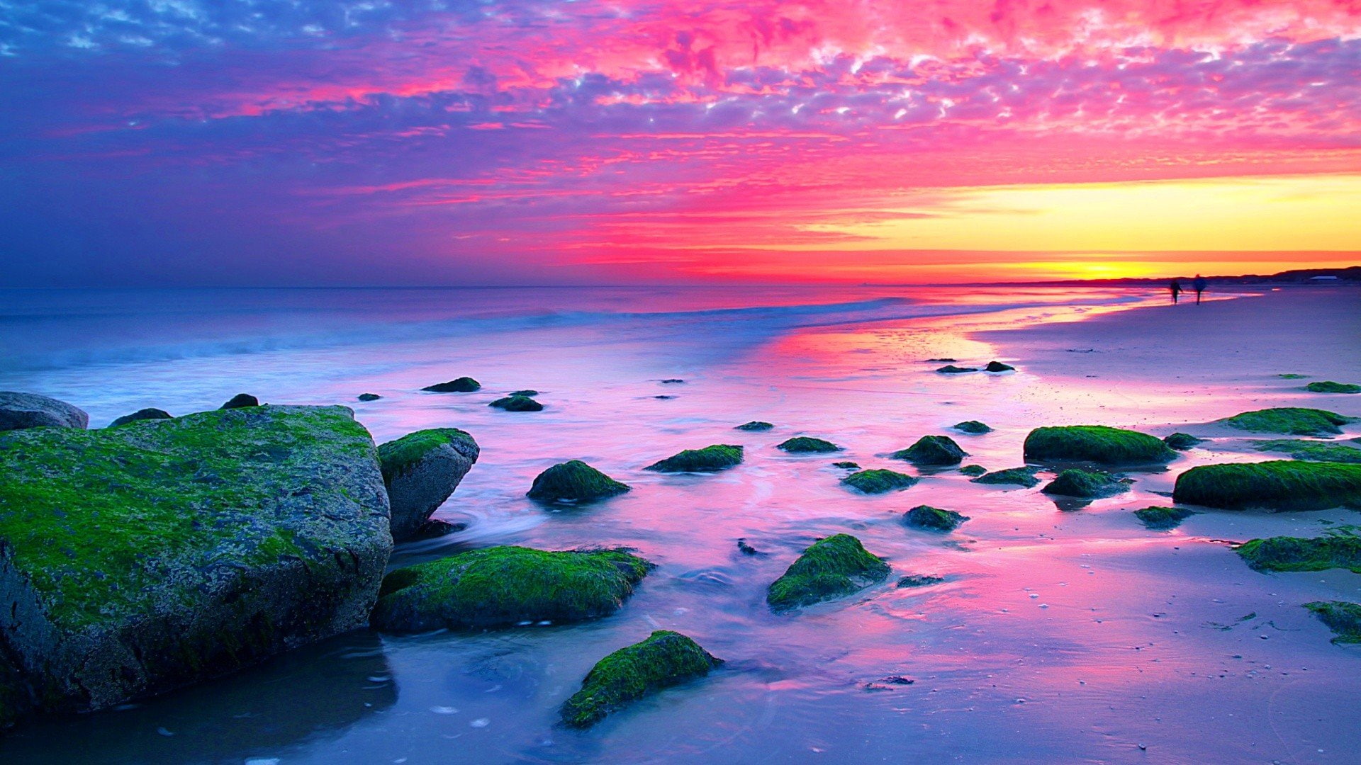 netherlands, red, hd, sea, hague, landscapes, 1080P, coast, sky, nature, sunset, rocks, HD Wallpaper