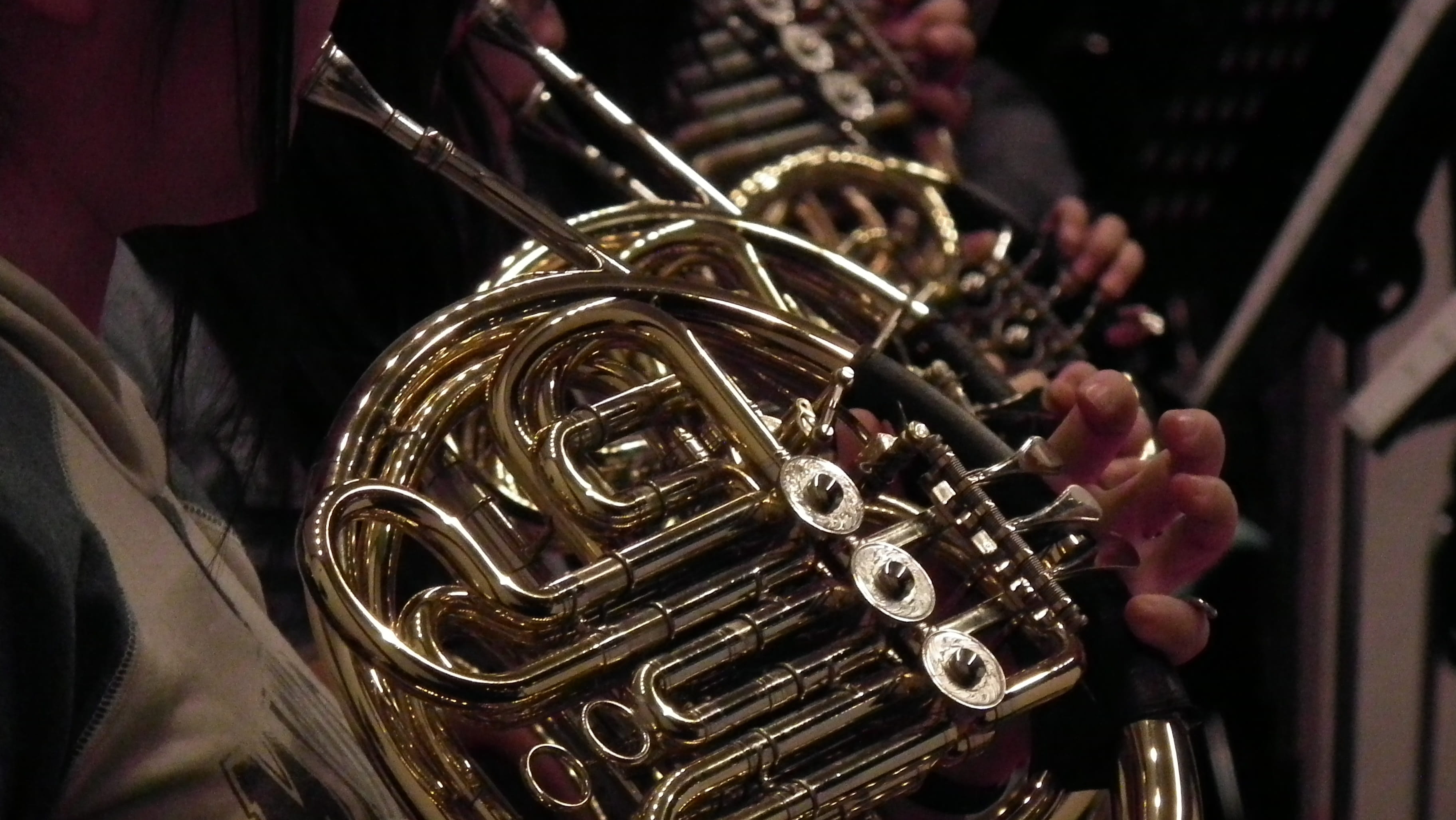 arts culture and entertainment, holding, performance, artist, skill, focus on foreground, french horn, musical equipment, horn, marching band, human hand, HD Wallpaper