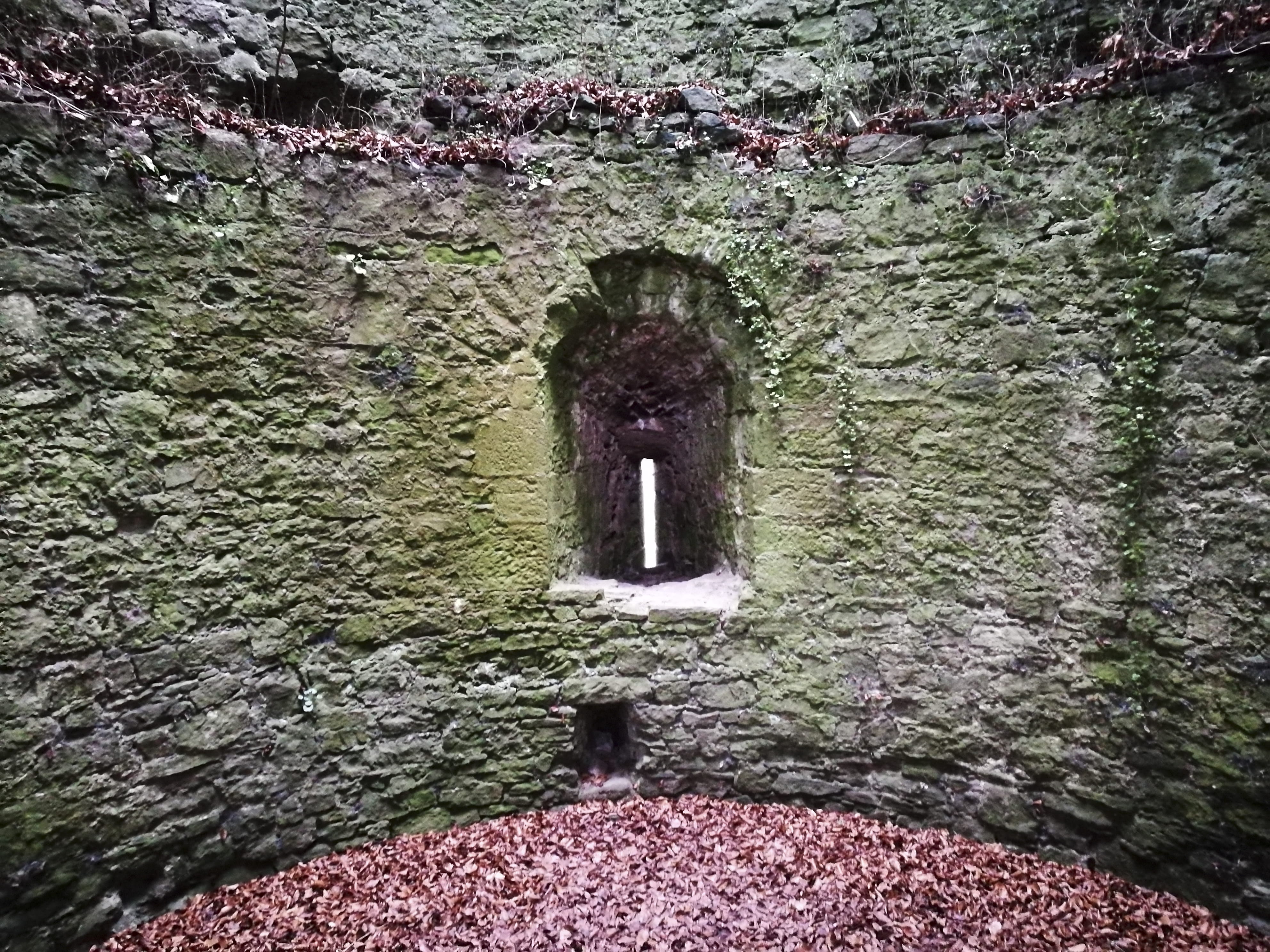 window, built structure, the past, day, arch, outdoors, architecture, usk, old, flowing, stone material, medieval, building exterior, overgrown, no people, HD Wallpaper