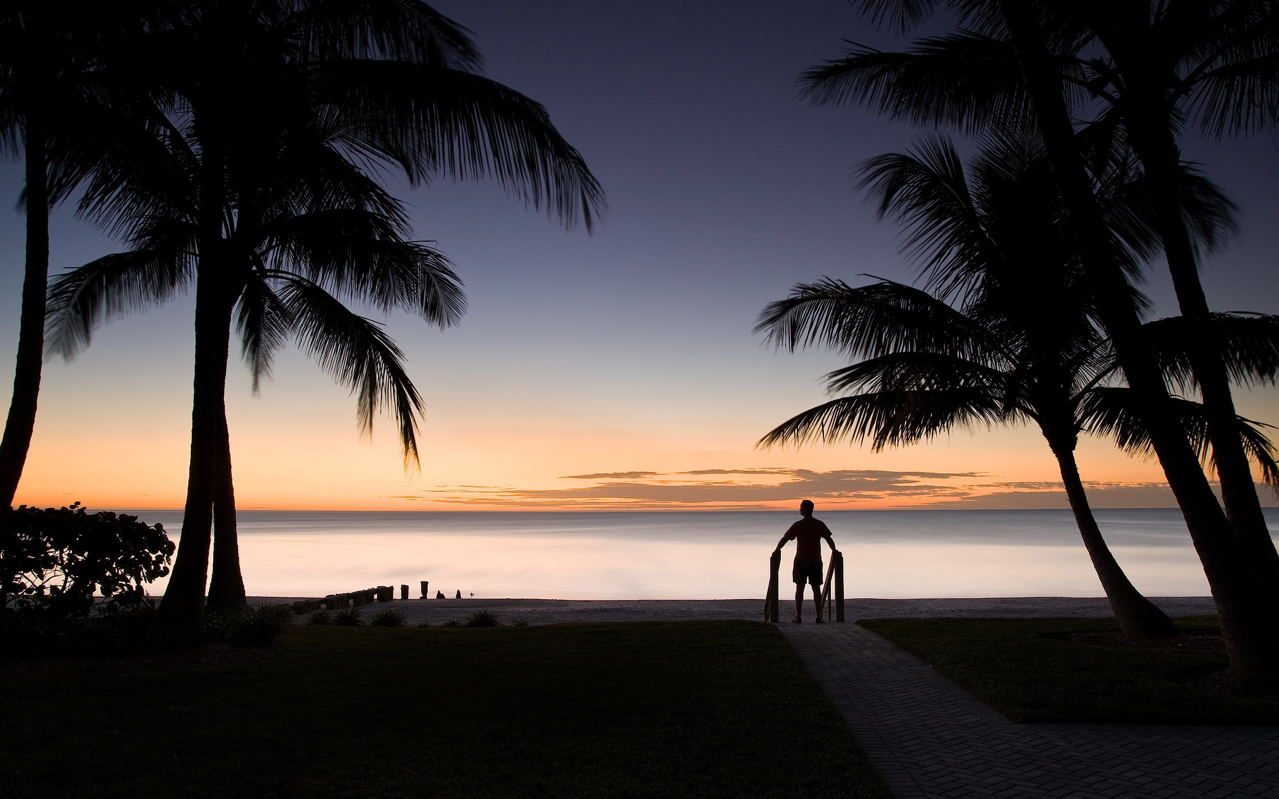 silhouette, palmier, sunset, 2K, HD Wallpaper