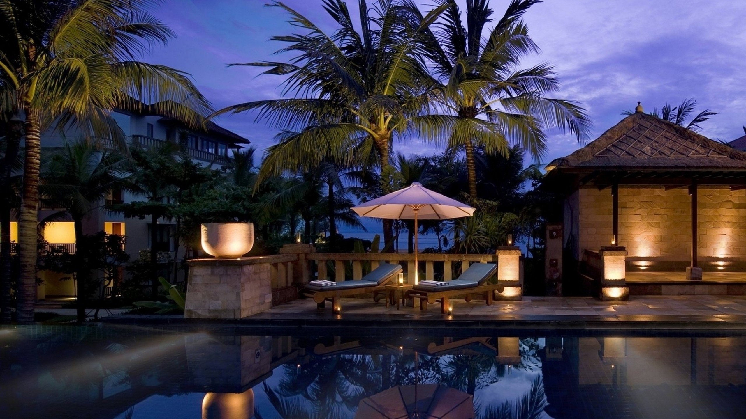 pools, 2K, palmier, swimming, HD Wallpaper