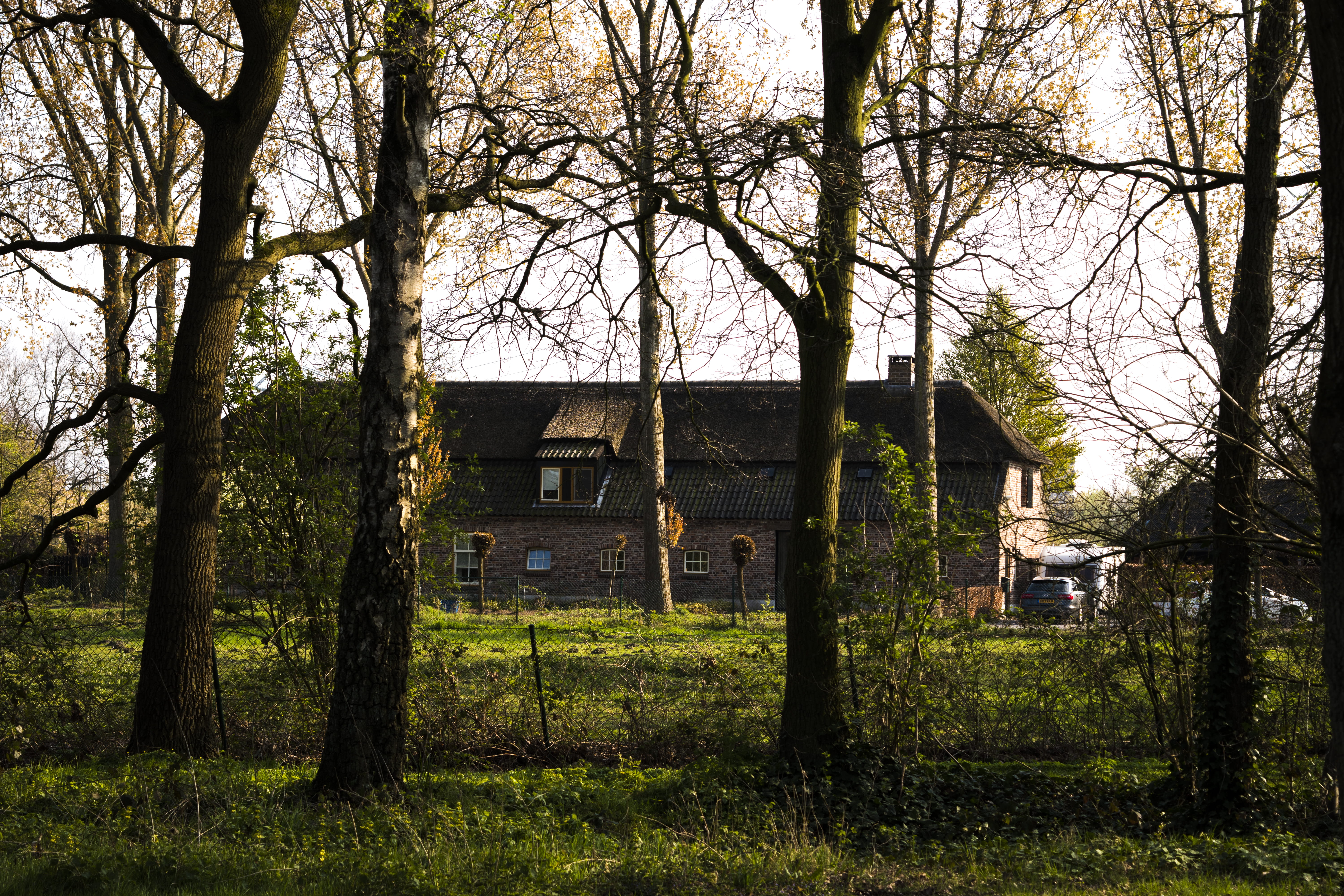 no people, cottage, hut, landscape, eindhoven, tree trunk, building exterior, growth, shelter, residential district, old, building, grass, tradicional, HD Wallpaper