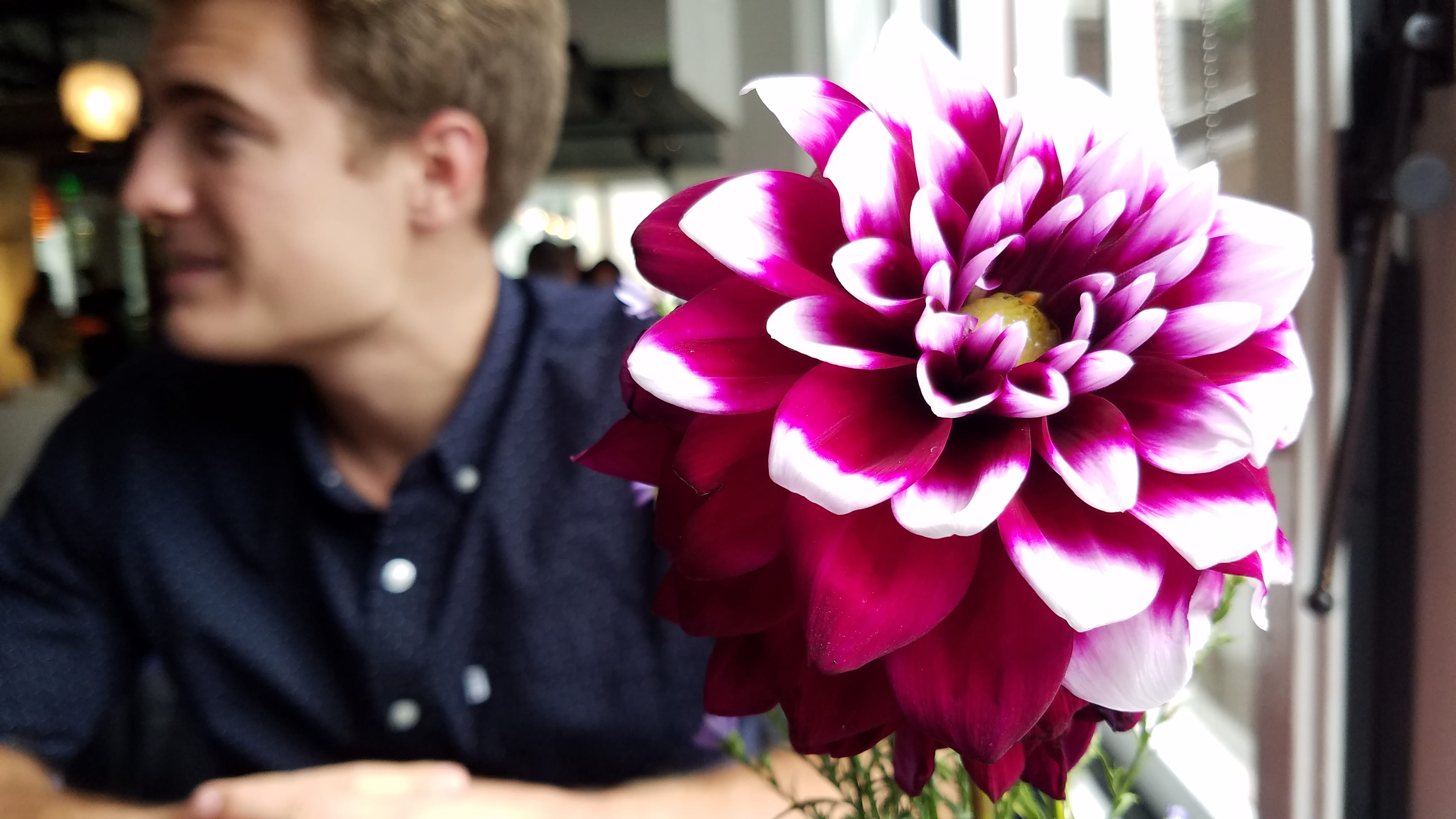 plant, nature, purple, talk, vulnerability, one person, man, focus on foreground, smile, united states, petal, flowering plant, flower head, fragility, HD Wallpaper