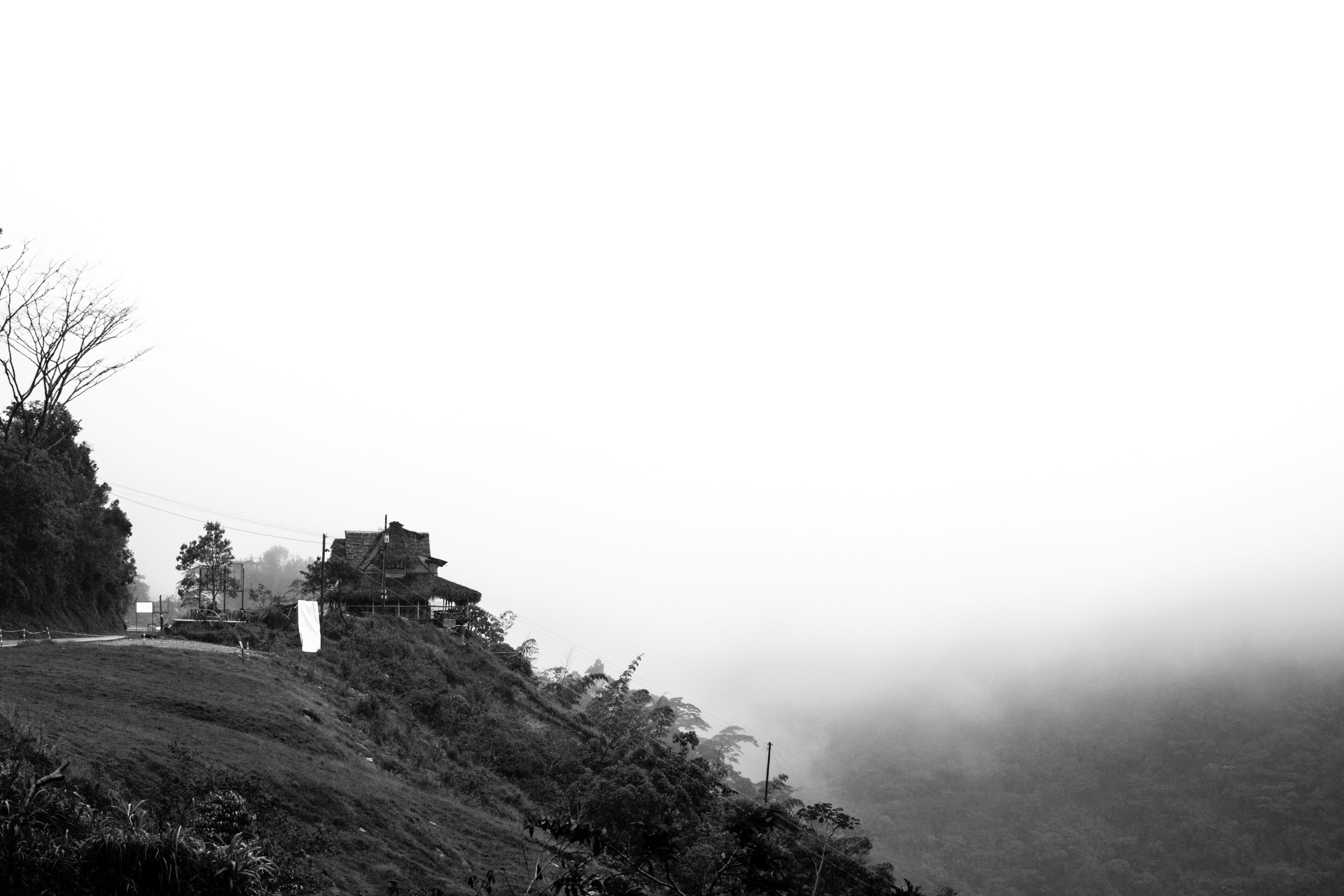religion, fog, building, building exterior, tree, land, tranquility, day, house, copy space, architecture, nature, monochromatic, 5K, plant, colombia, HD Wallpaper