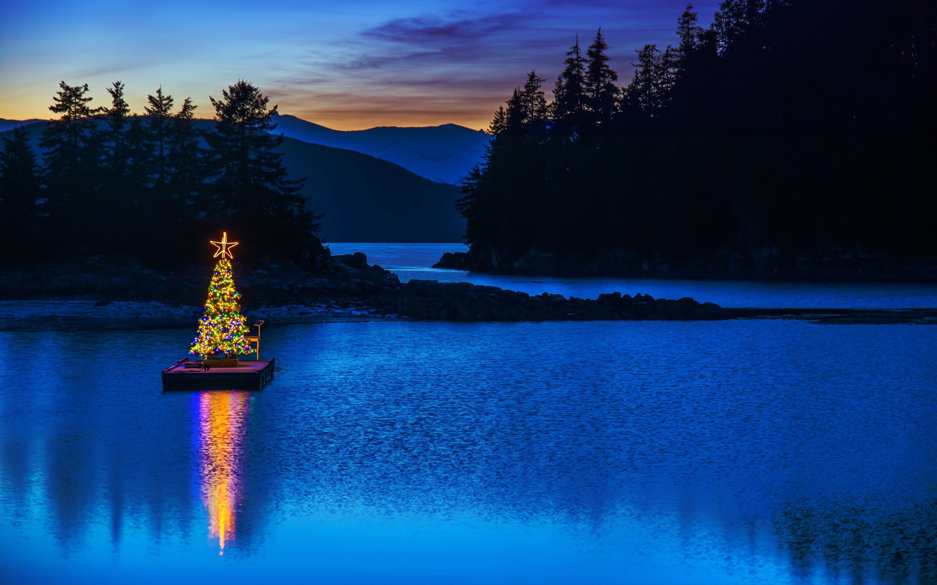 Christmas, garland, middle, raft, water, body, Alaska, lights, Amalga Harbor, tree, 1080P, USA, Juneau, HD Wallpaper