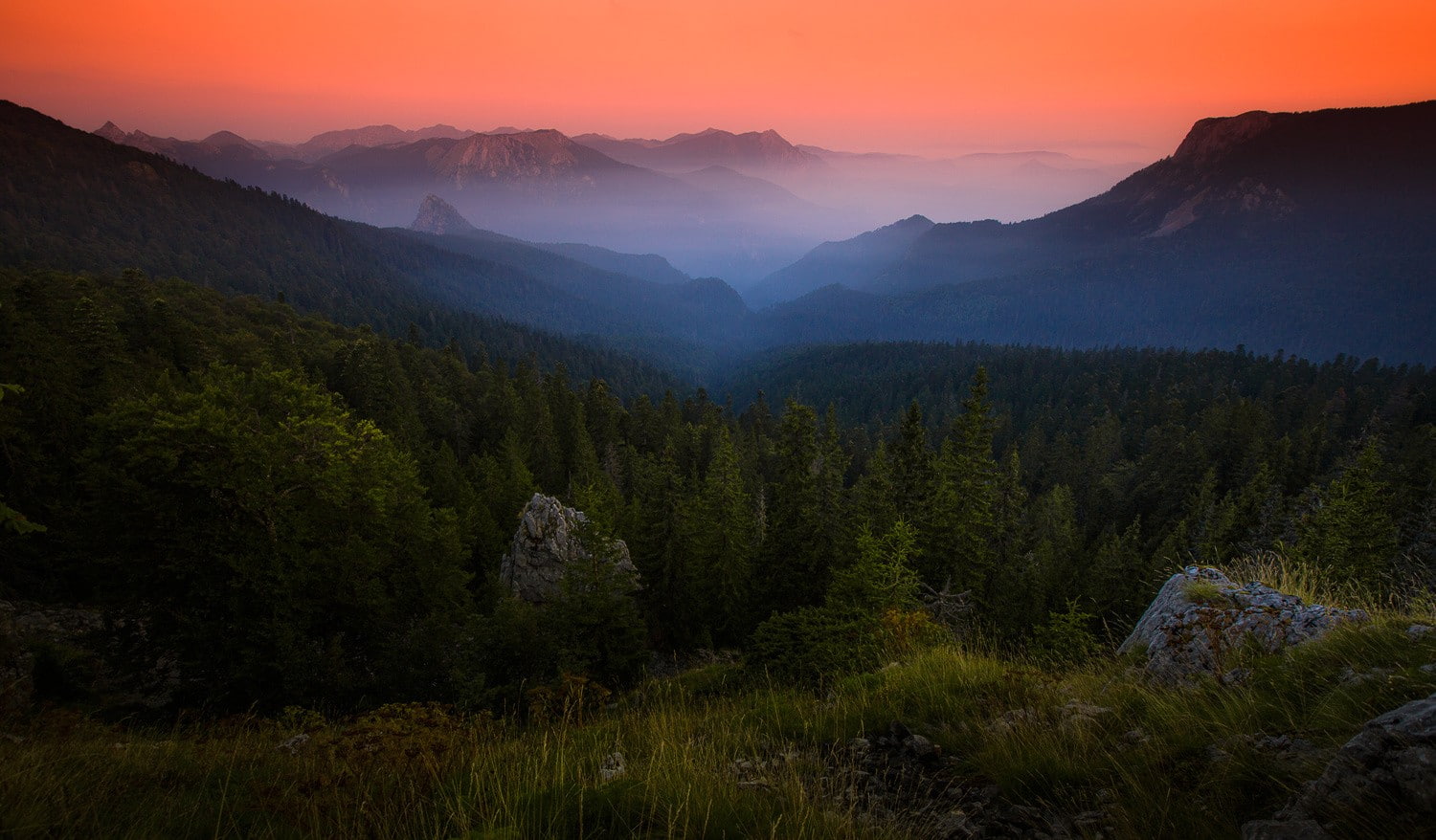 amber, 720P, Bosnia, nature, landscape, mountains, sky, shrubs, forest, mist, grass, HD Wallpaper