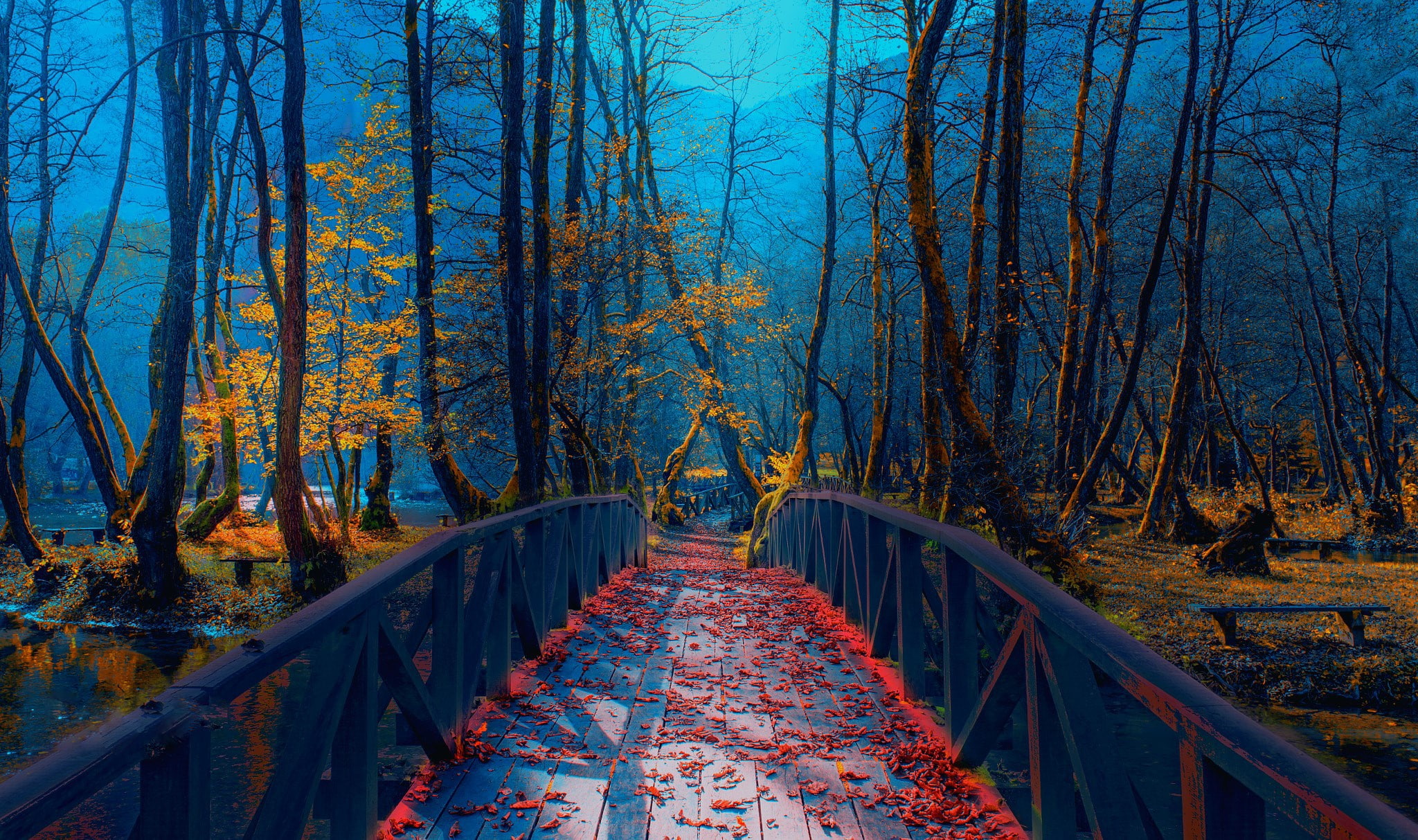 river, Park, autumn, foliage, 1080P, bridge, Bosnia, Mevludin Sejmenovic, HD Wallpaper