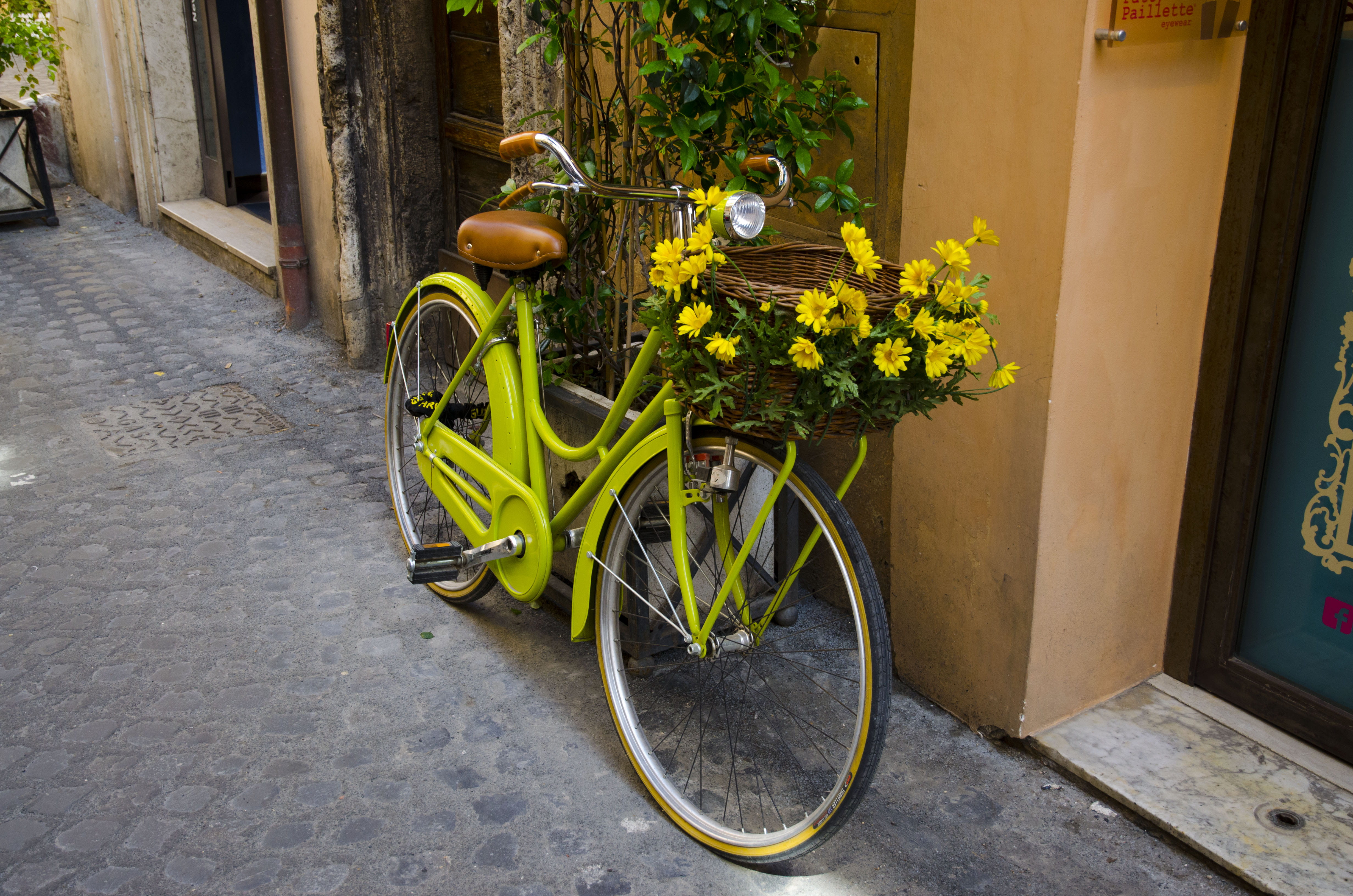 pavement, flowers, flowering plant, flora, bike, bicycle, street, basket, nature, no people, outdoors, beach, yellow, built structure, bloom, mode of transportation, HD Wallpaper