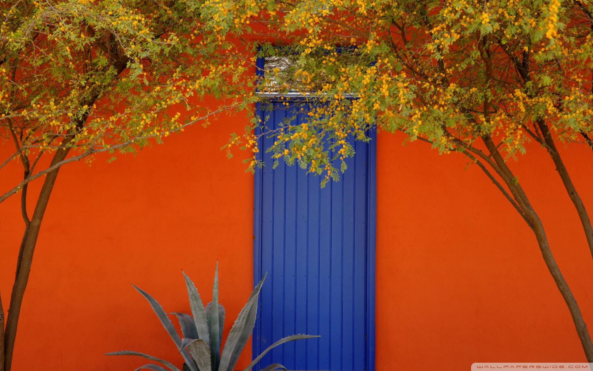 door, blue, wall, tree, tucson, az, nature and landscapes, barrio, 1080P, orange, district, HD Wallpaper