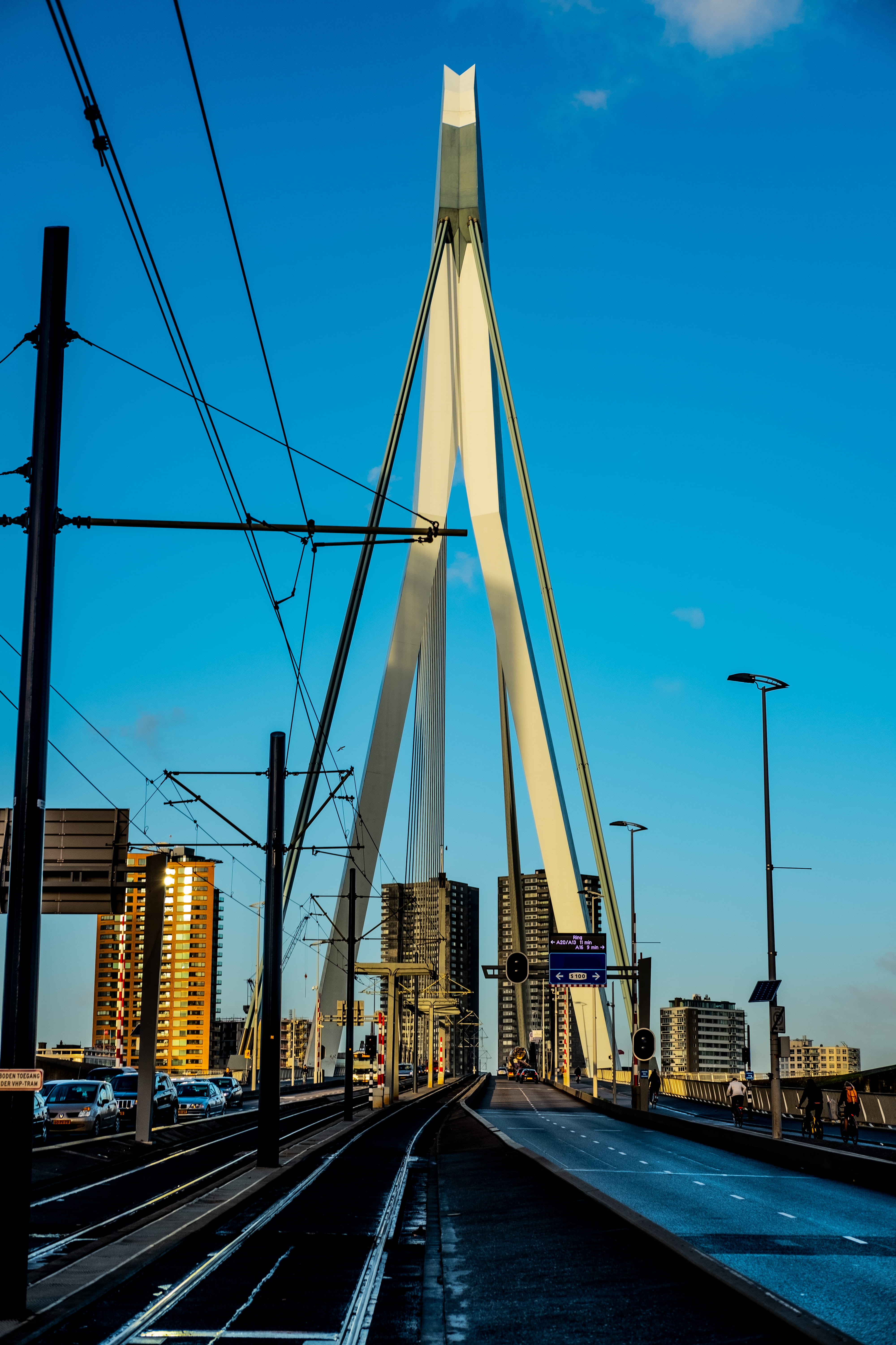 the netherlands, no people, day, mode of transportation, direction, rotterdam, architecture, transportation, nature, bridge, outdoors, the way forward, Phone HD Wallpaper