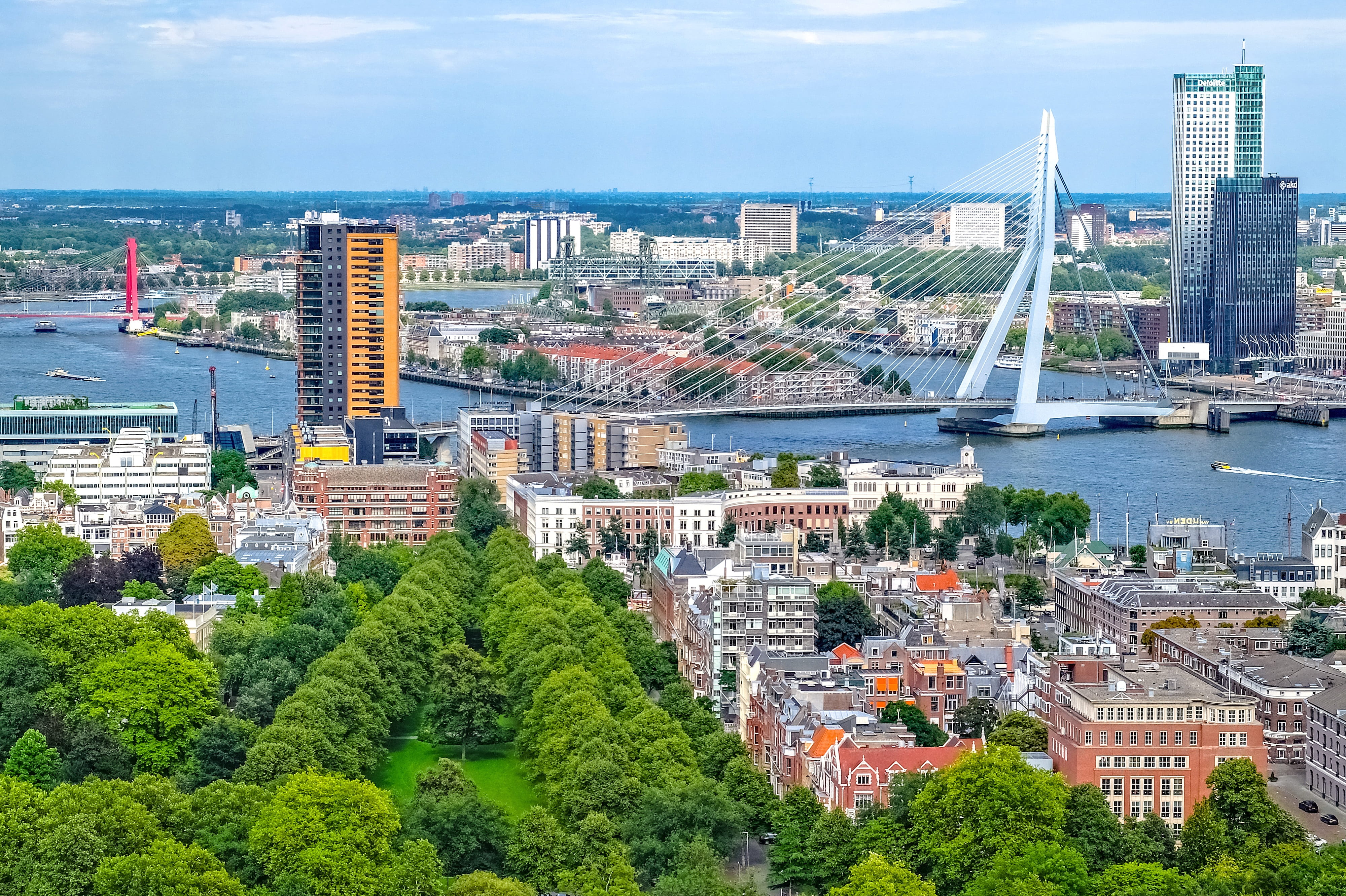 office building exterior, trees, 4K, rotterdam, holland, tower, government, built structure, no people, nature, netherlands, water, city, modern, building, HD Wallpaper
