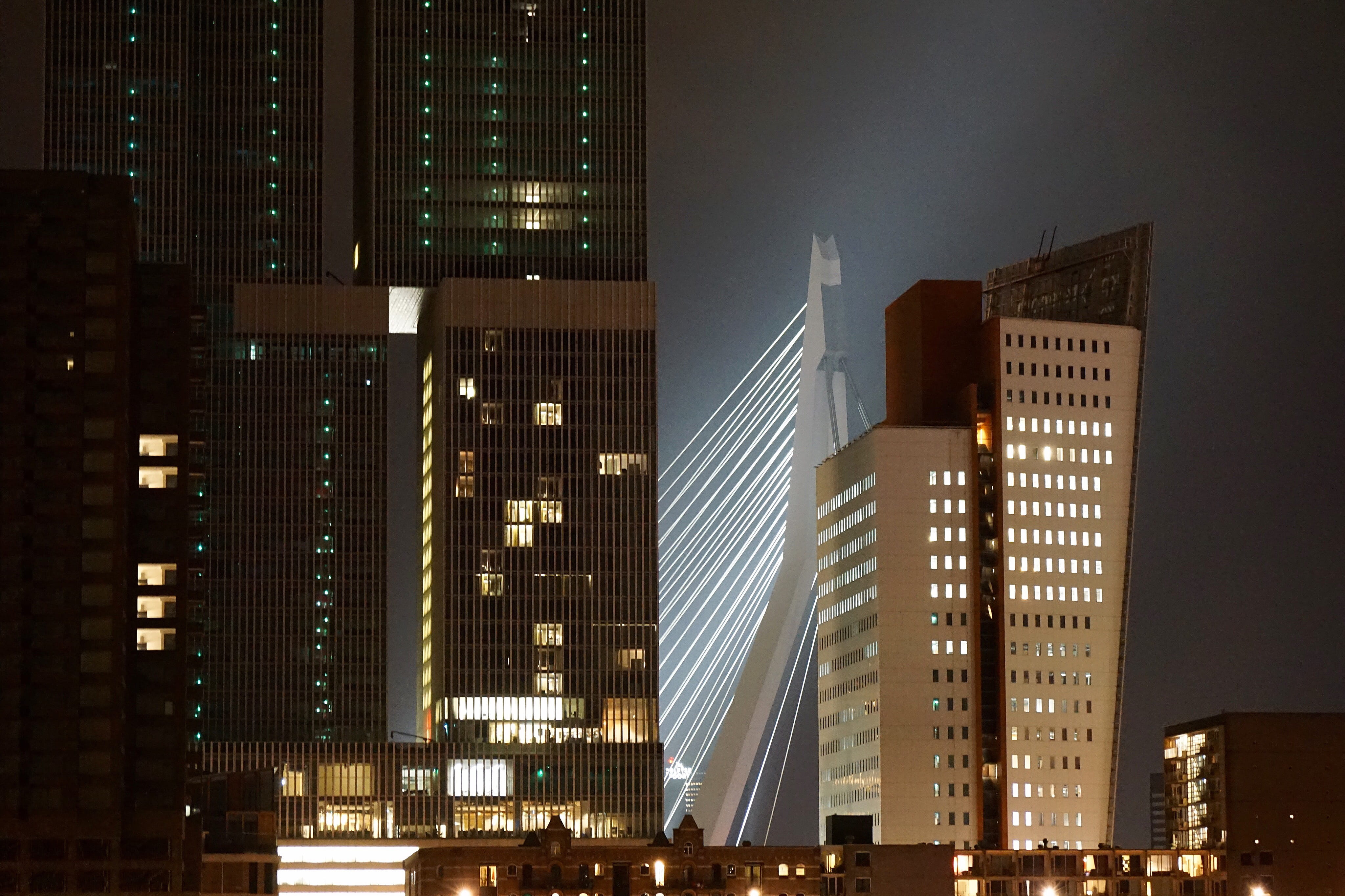 city life, dark, night, erasmusbridge, cityscape, tall - high, netherlands, erasmus, building, 4K, residential district, travel destinations, office building exterior, HD Wallpaper