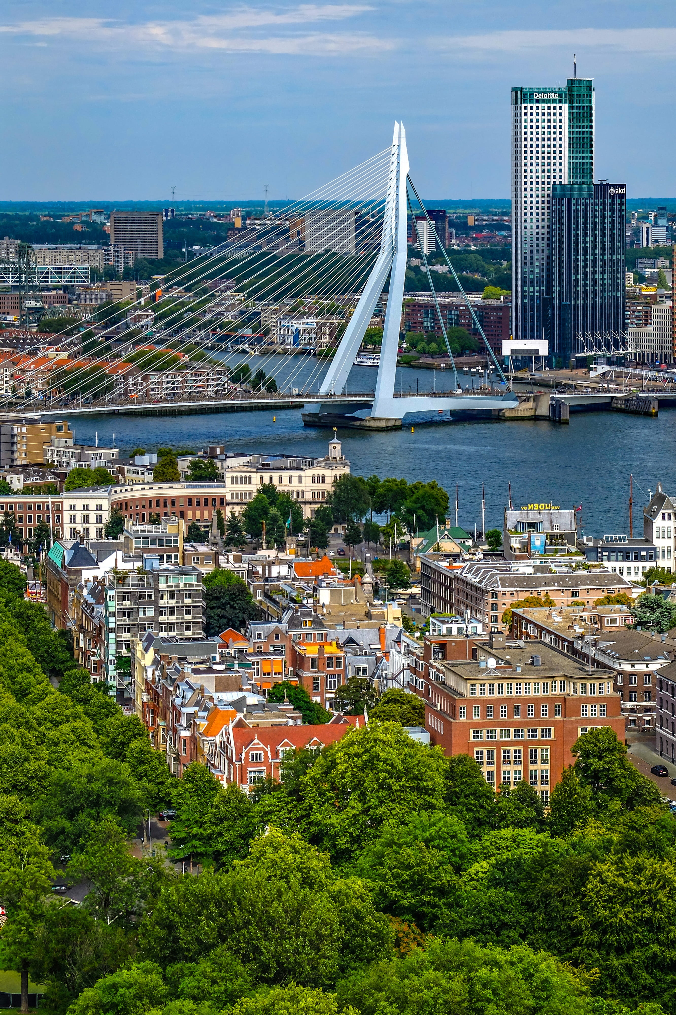 outdoors, building exterior, bridge, city, skyscraper, transportation, holland, bridge - man made structure, residential district, landscape, panorama, Phone HD Wallpaper