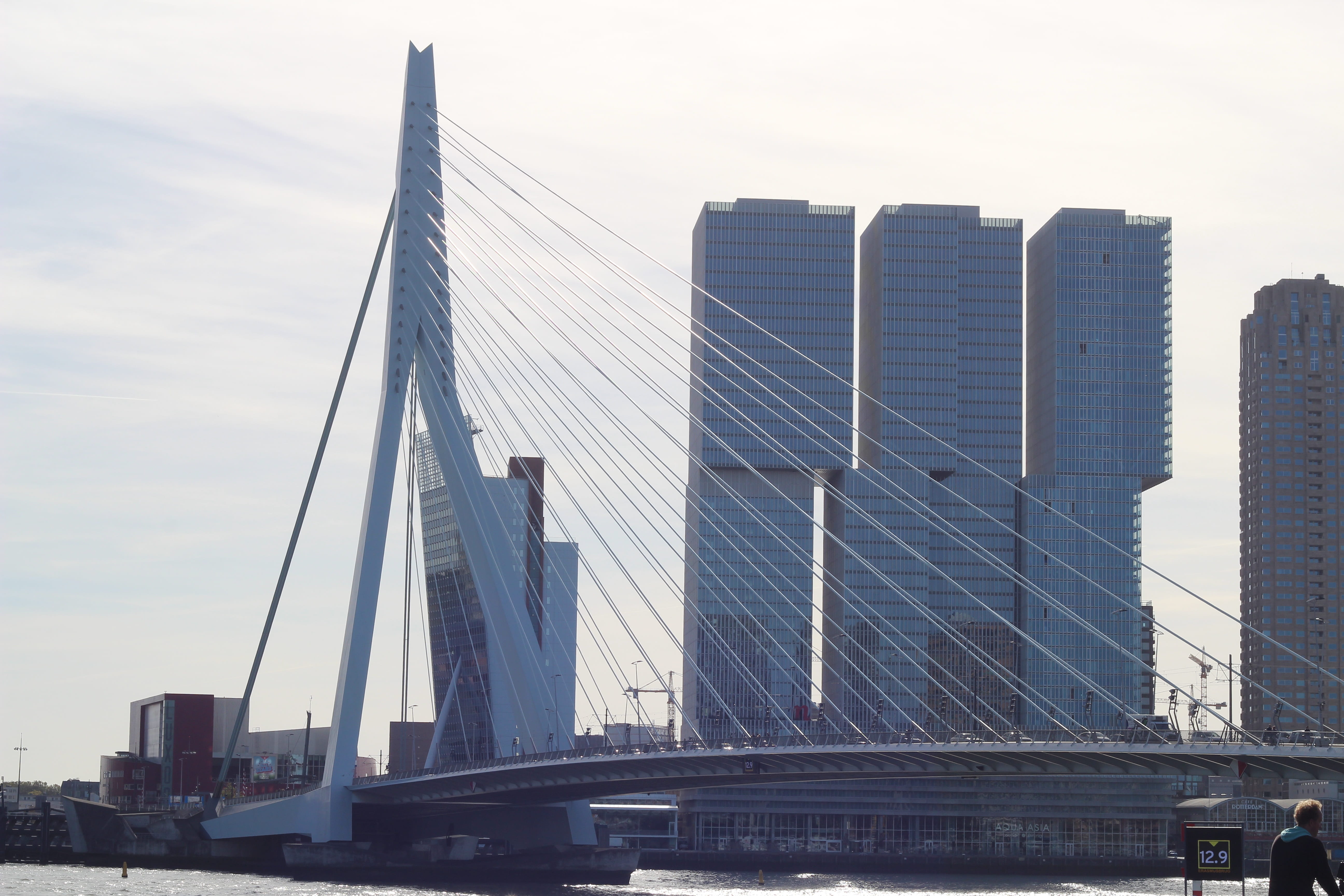 office, nature, office building exterior, skyscraper, sky, bridge, building exterior, 5K, city, transportation, building, architecture, modern, erasmus bridge, HD Wallpaper