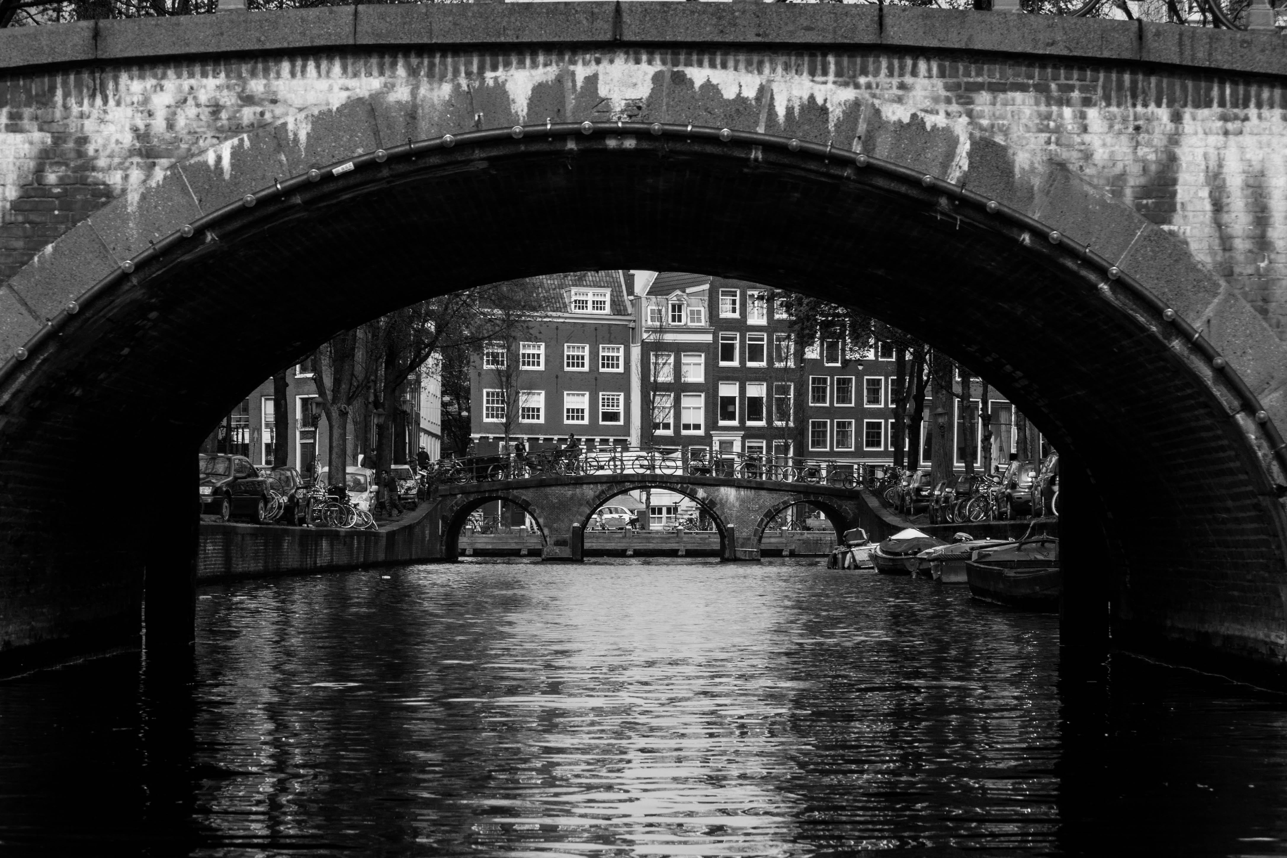 river, bridge - man made structure, grayscale, arched, architecture, houses, europe, historic, travel destinations, tourism, water, arch bridge, exterior, HD Wallpaper