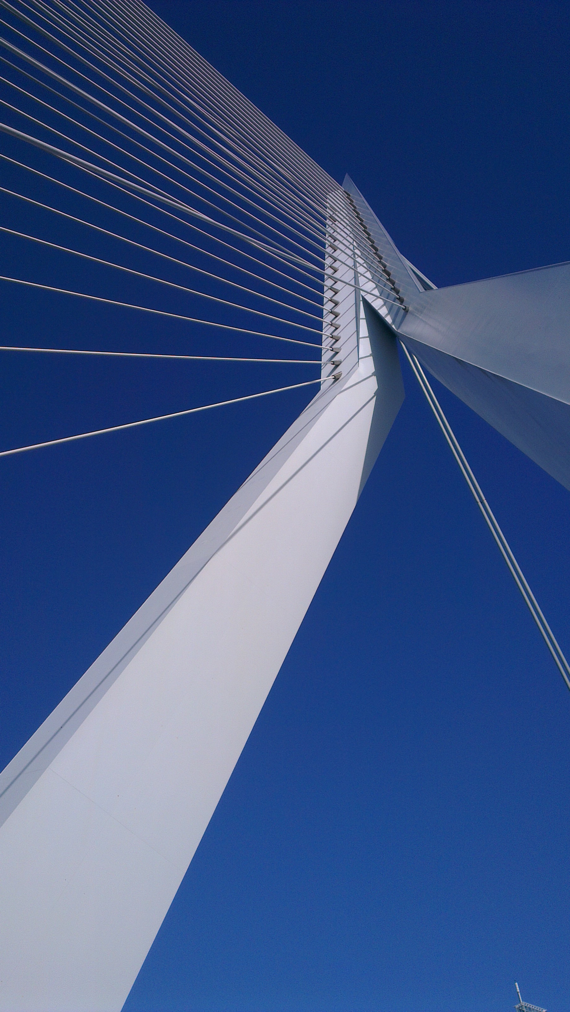 swan, building exterior, architecture, office, no people, connection, office building exterior, built structure, skyscraper, low angle view, sky, clear sky, Phone HD Wallpaper