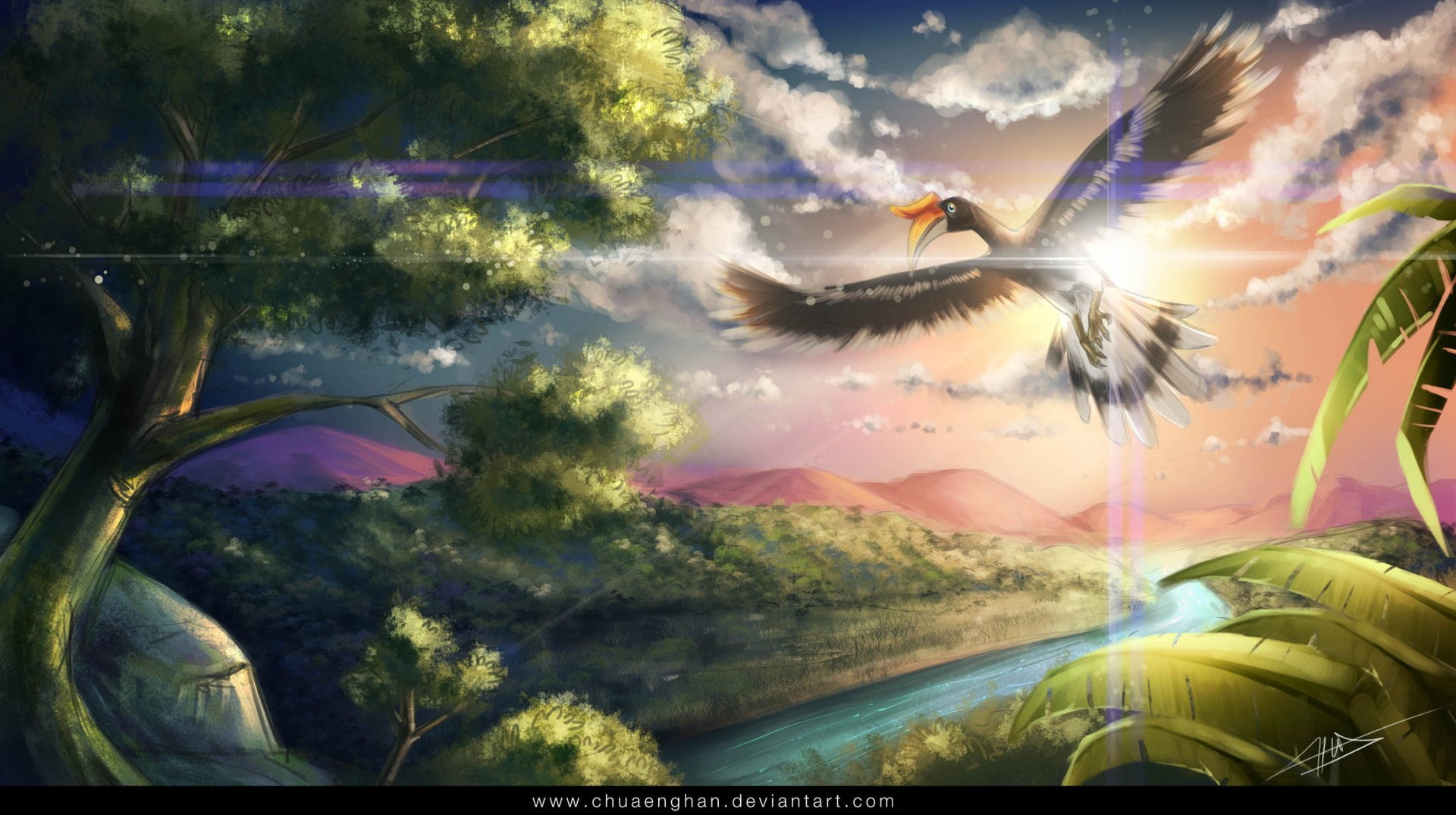 Bird, Flight, 1080P, Hornbill, Birds, HD Wallpaper