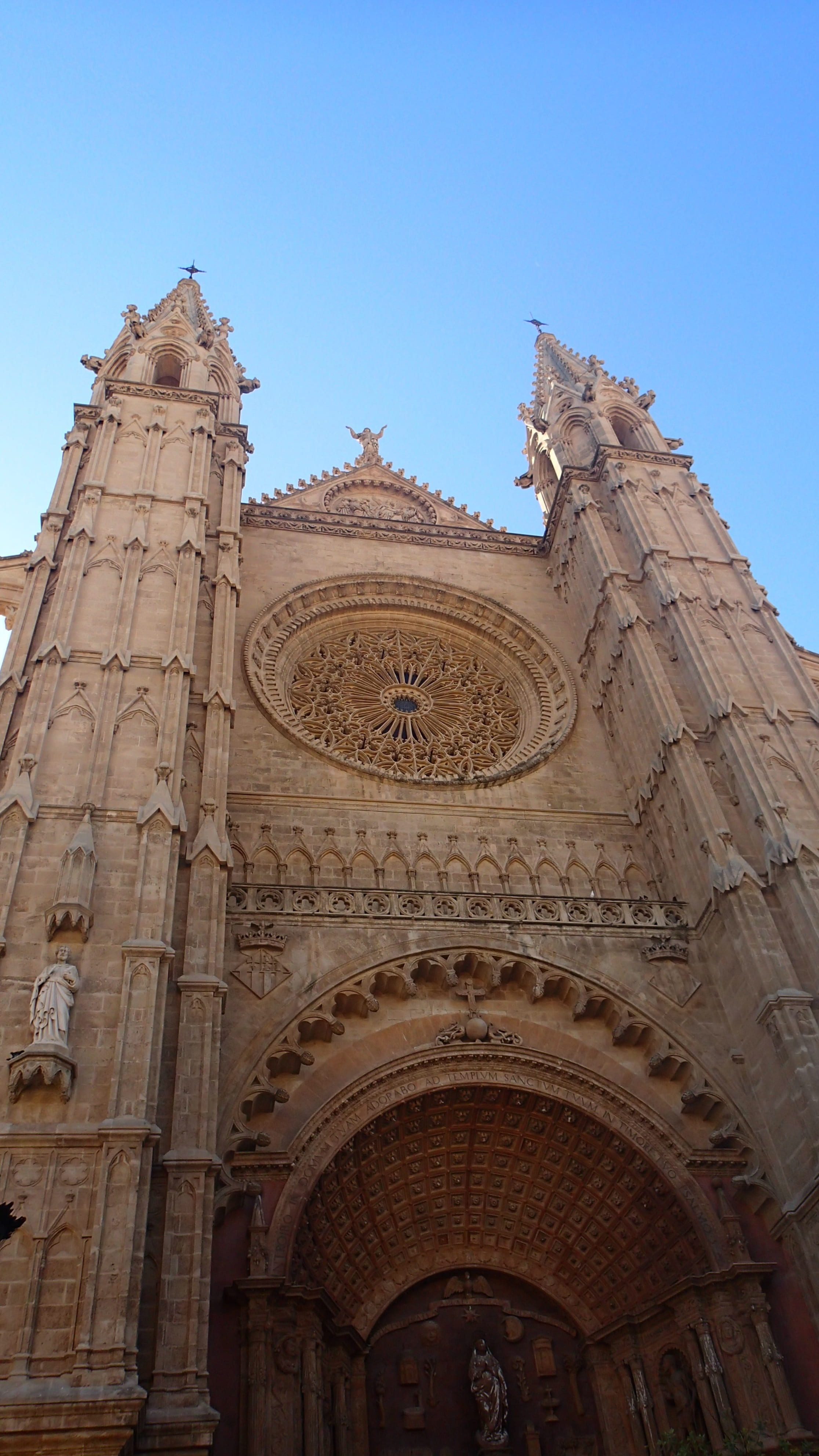 place of worship, church, history, belief, arch, travel destinations, cathedral of santa maria of palma, architecture, ornate, the past, sky, low angle view, Phone HD Wallpaper