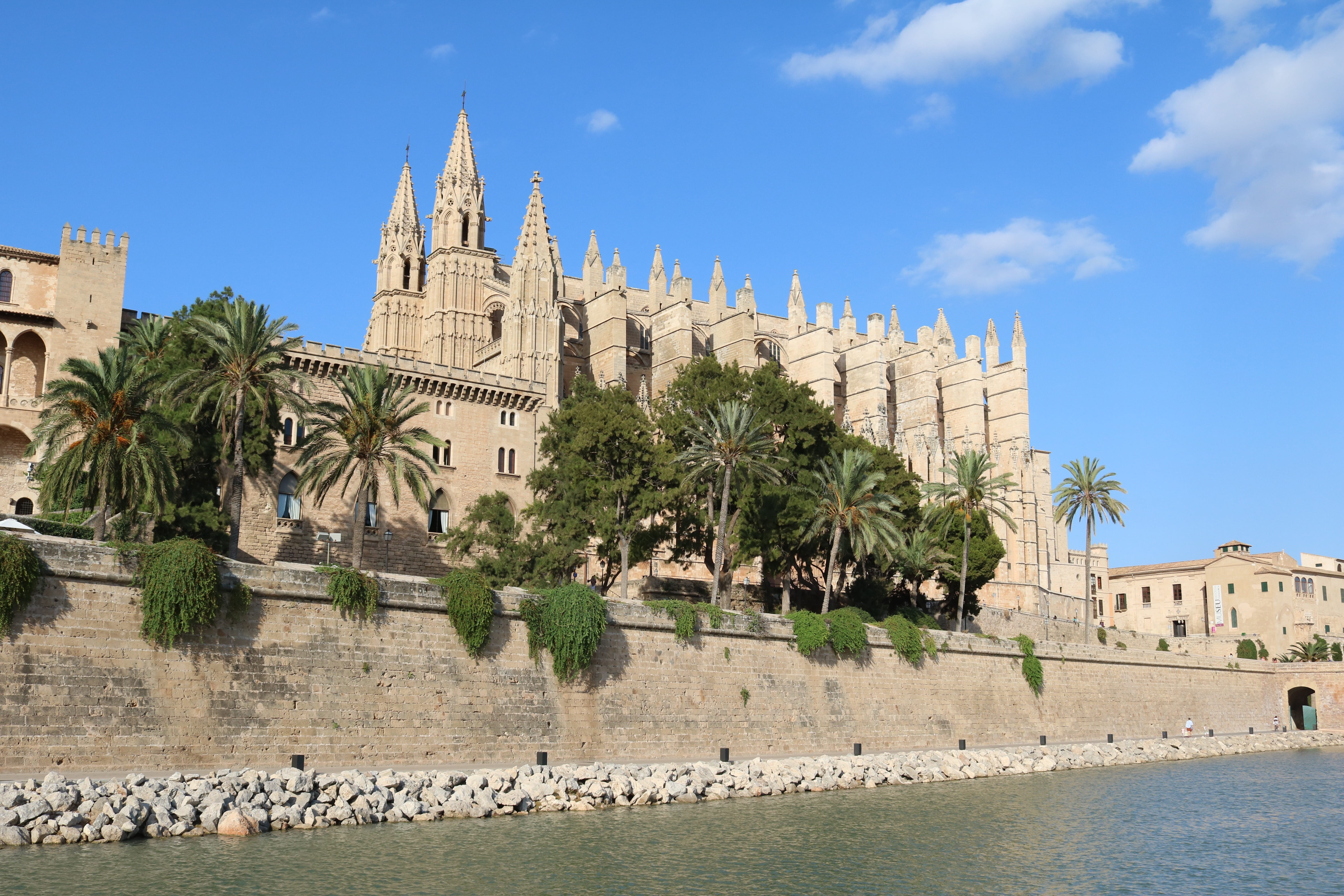 sky, downtown, la seu, architecture, outdoors, water, historically, old town, religion, tree, tropical climate, 5K, balearic islands, tourism, facade, HD Wallpaper